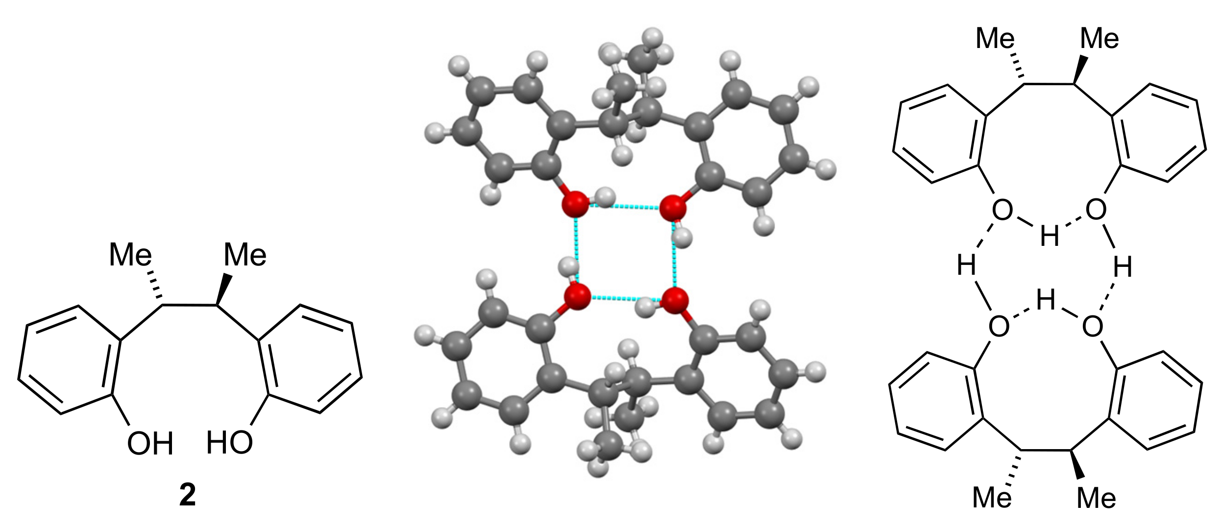 Molbank 2022 m1318 g005
