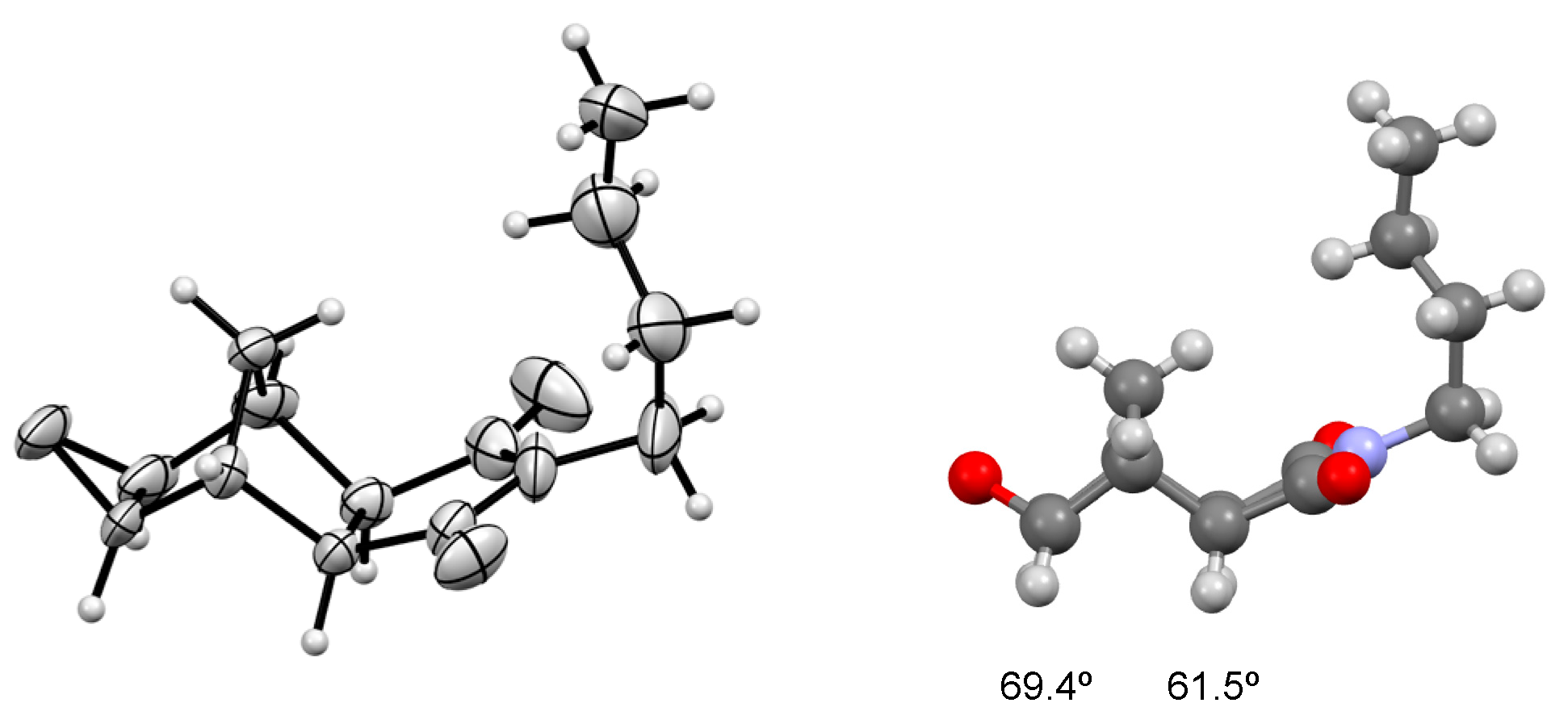 Molbank 2022 m1320 g002