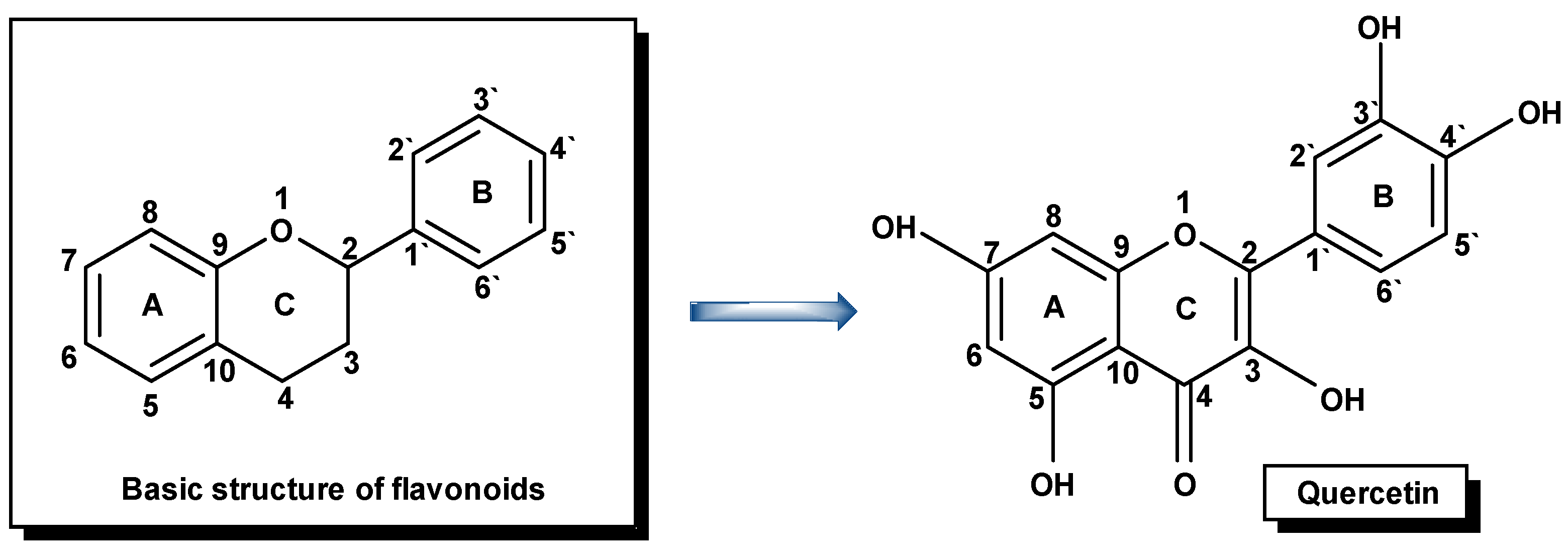Molbank 2022 m1329 g001