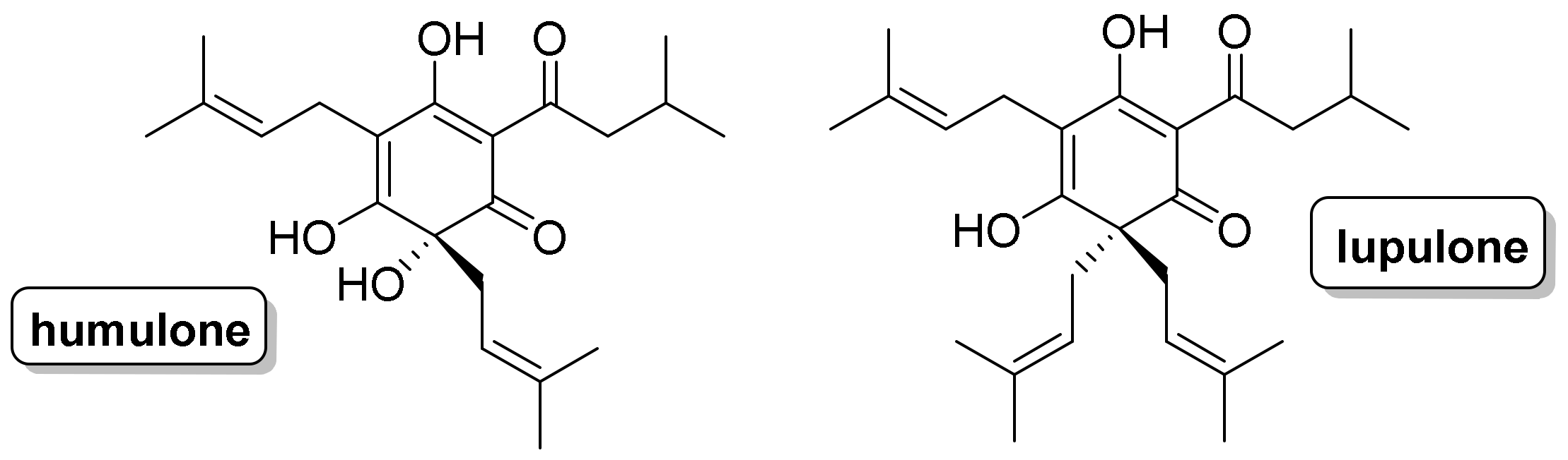 Molbank 2022 m1330 g001 550