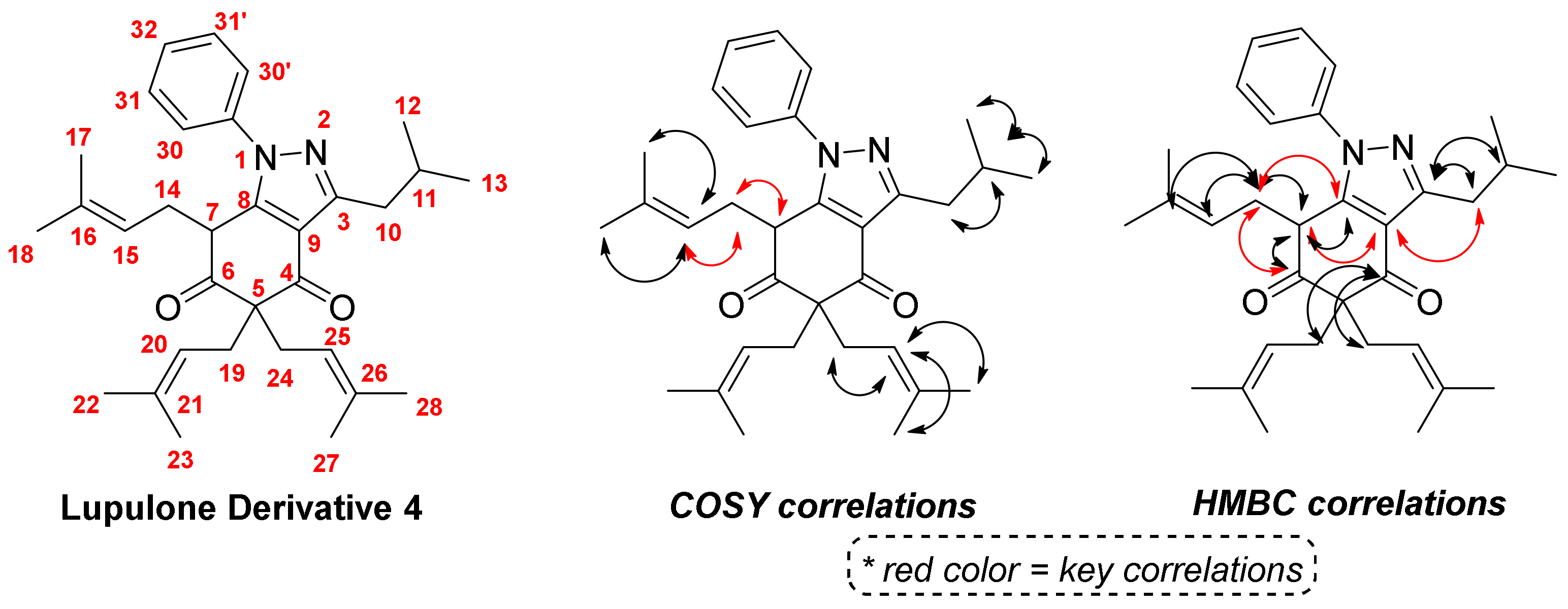 Molbank 2022 m1330 g003 550