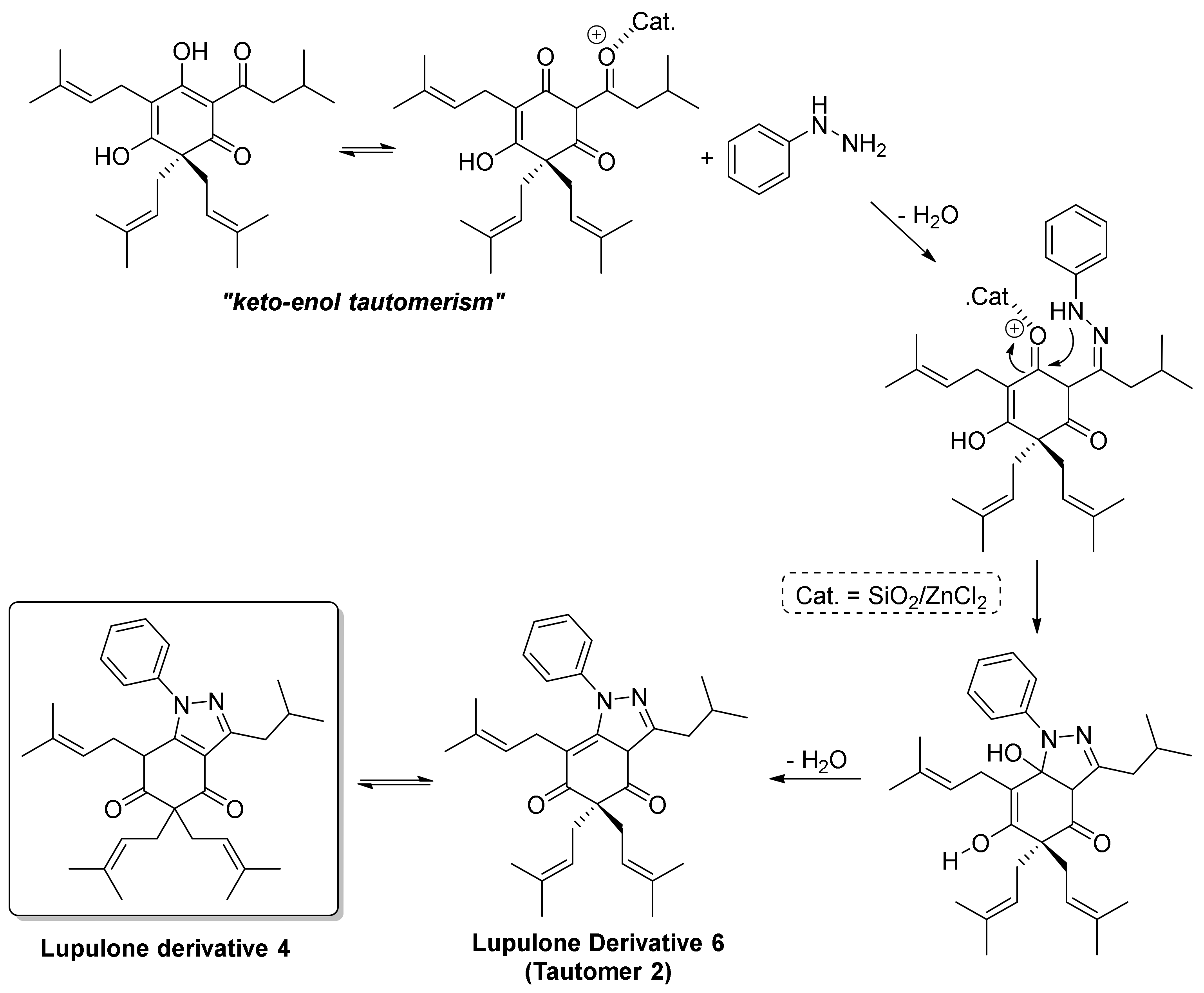 Molbank 2022 m1330 g004 550