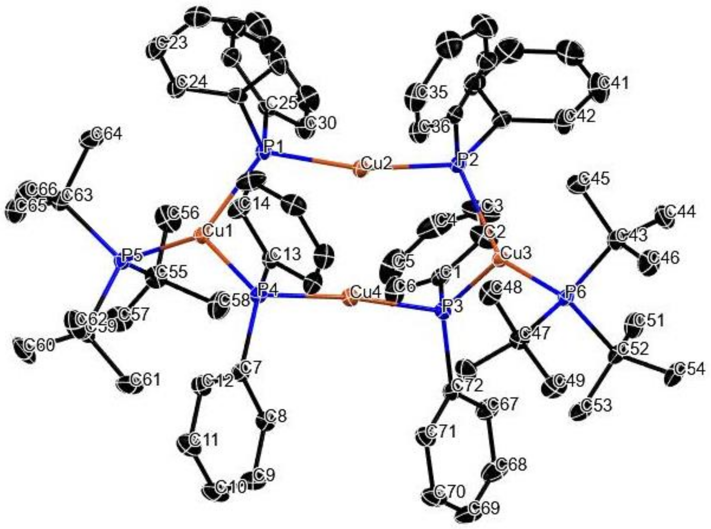 Molbank 2022 m1334 g001