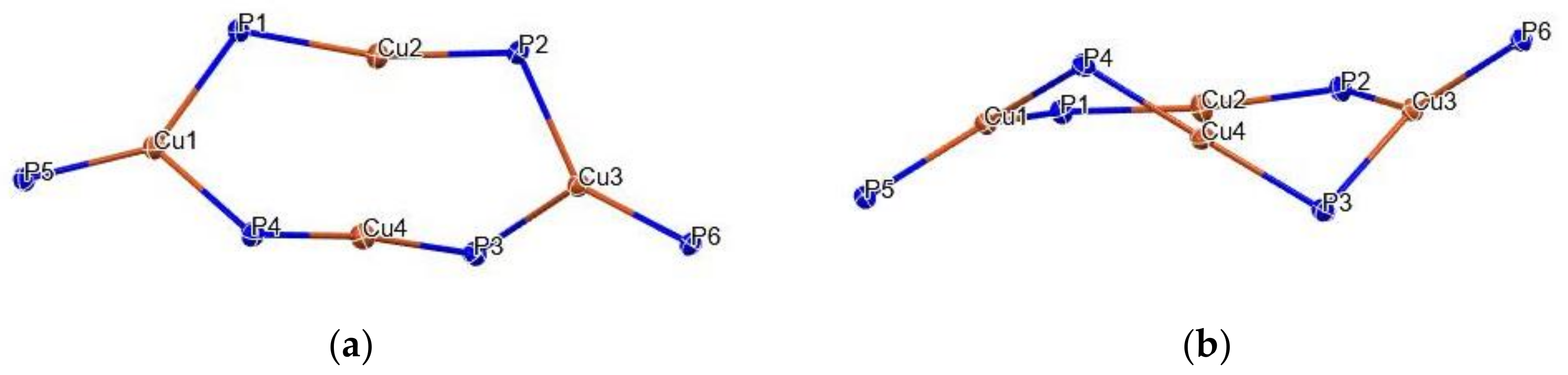 Molbank 2022 m1334 g002