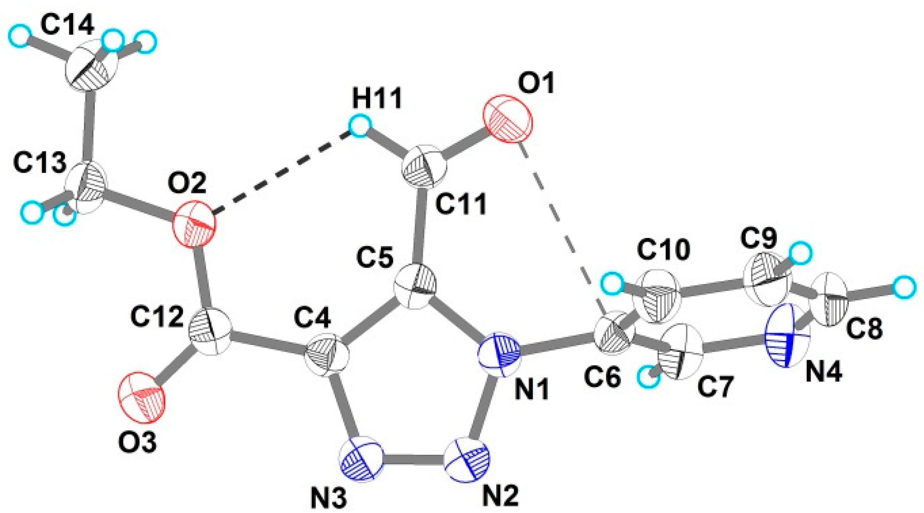 Molbank 2022 m1340 g001