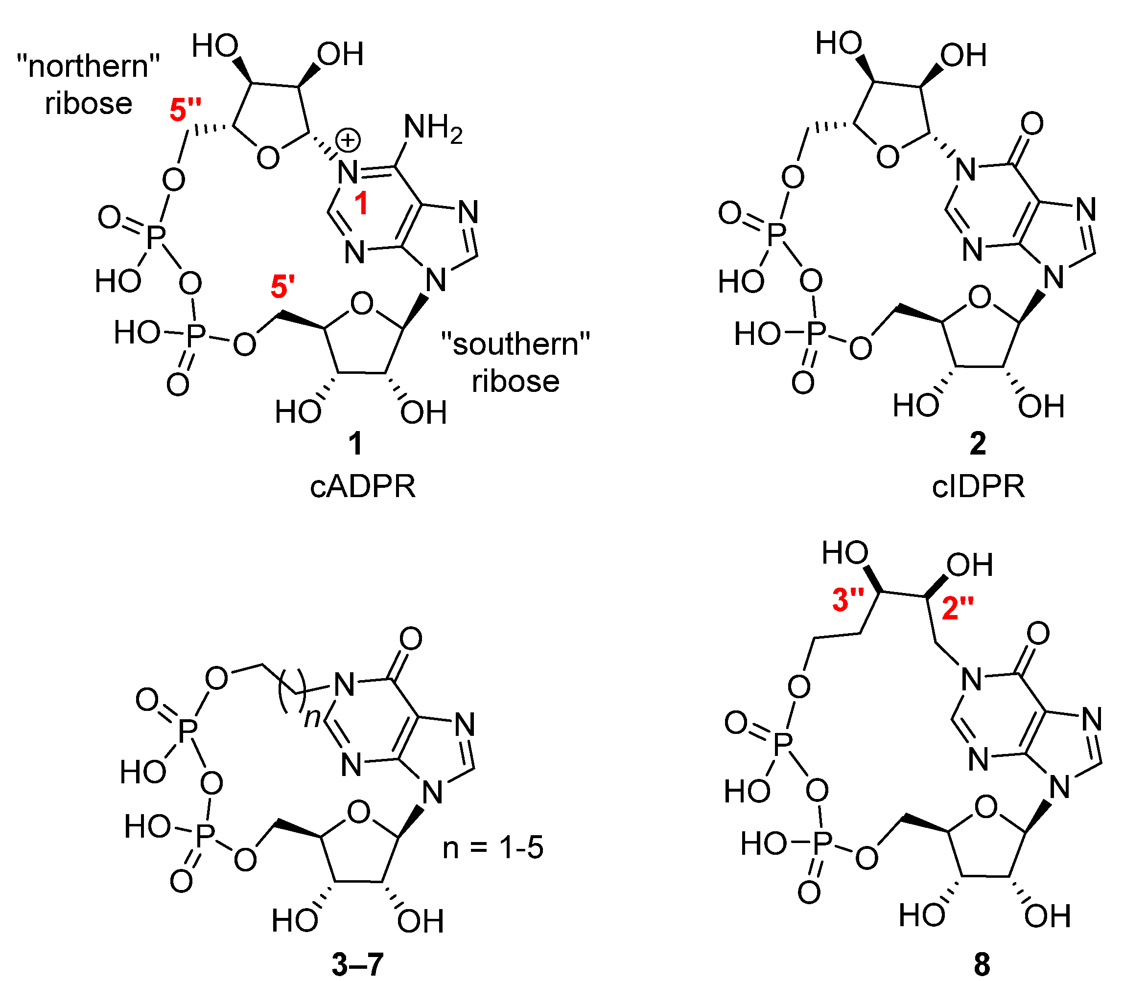 Molbank 2022 m1345 g001 Molbank 2022 m1345 g001
