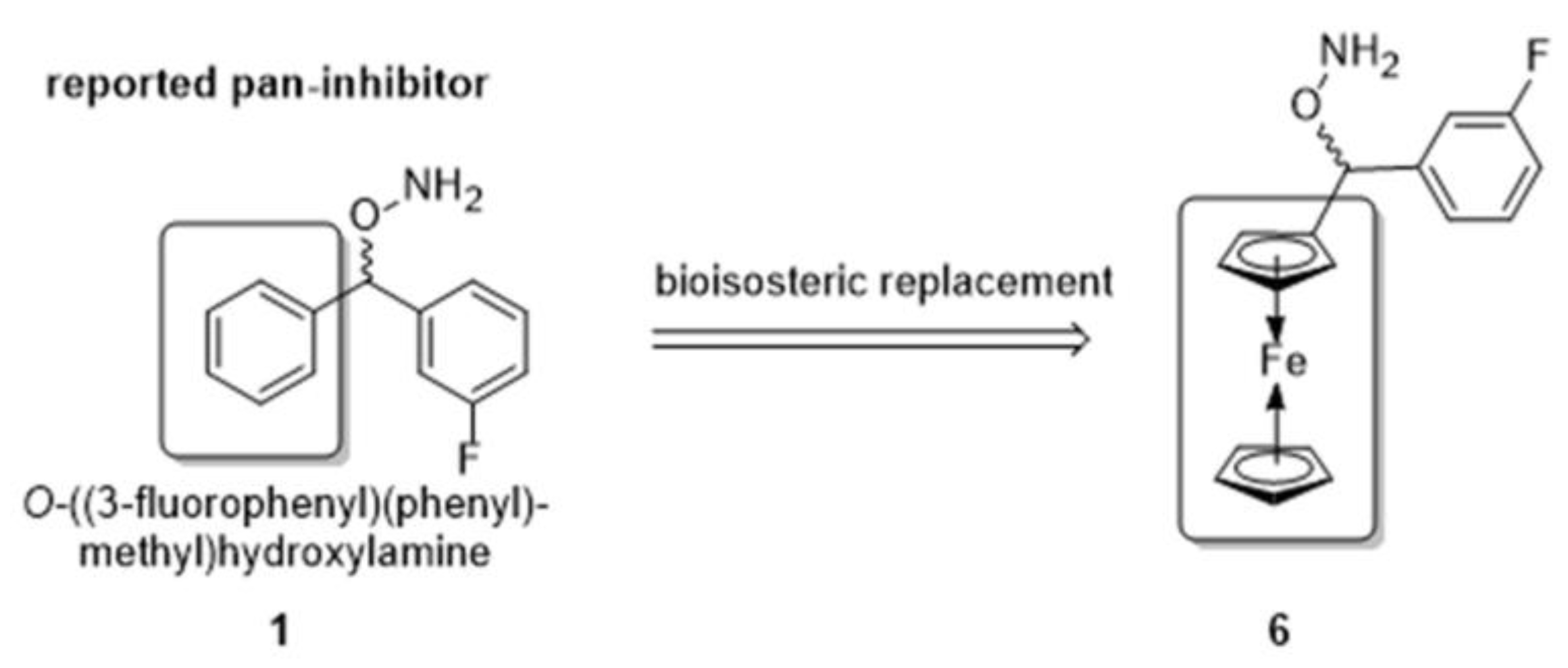 Molbank 2022 m1346 g001 550
