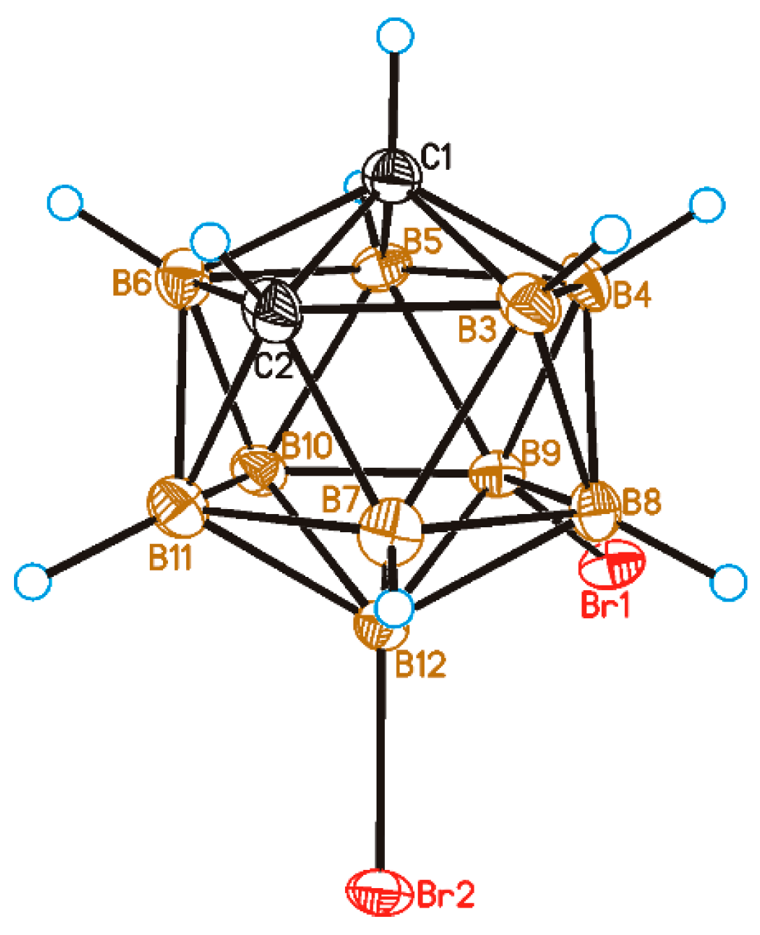 Molbank 2022 m1347 g001