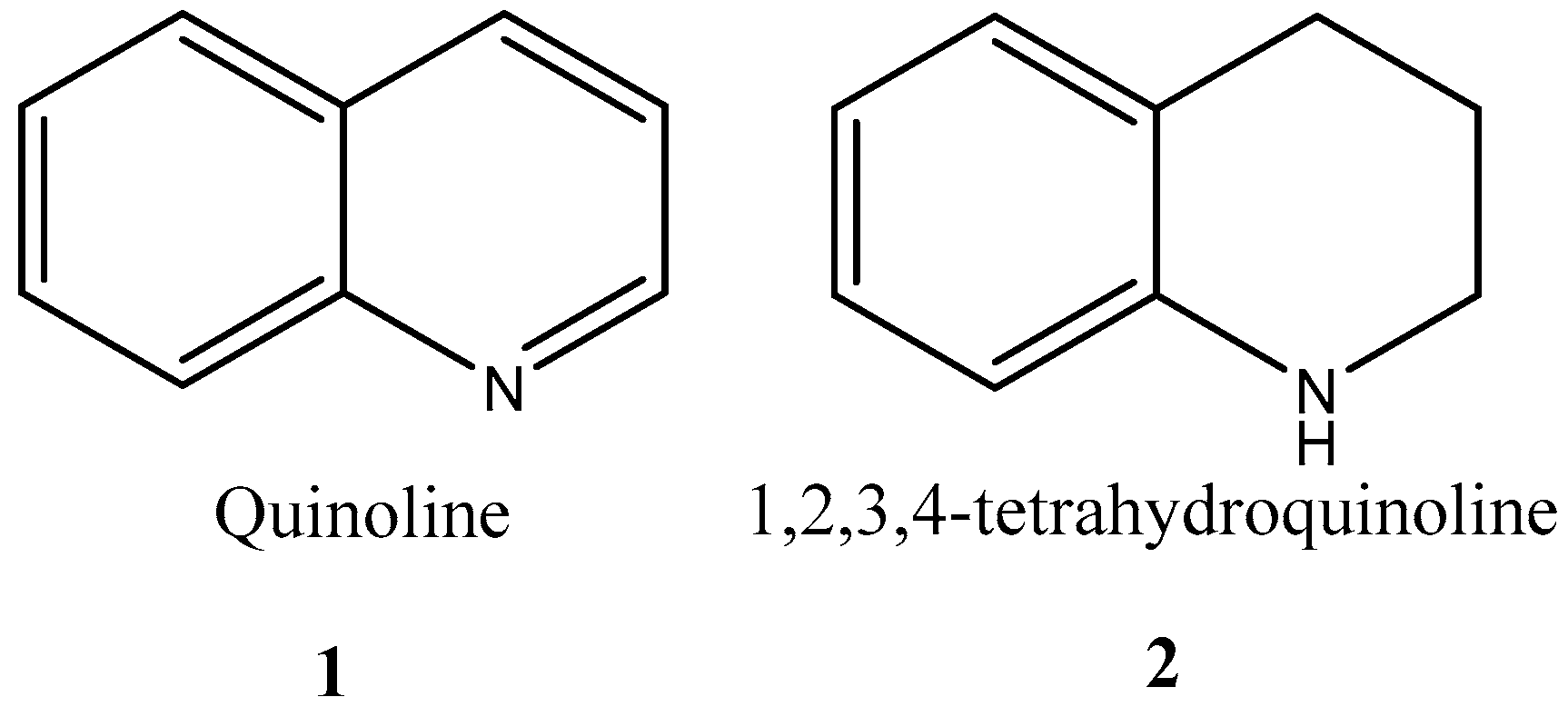 Molbank 2022 m1350 g001 550