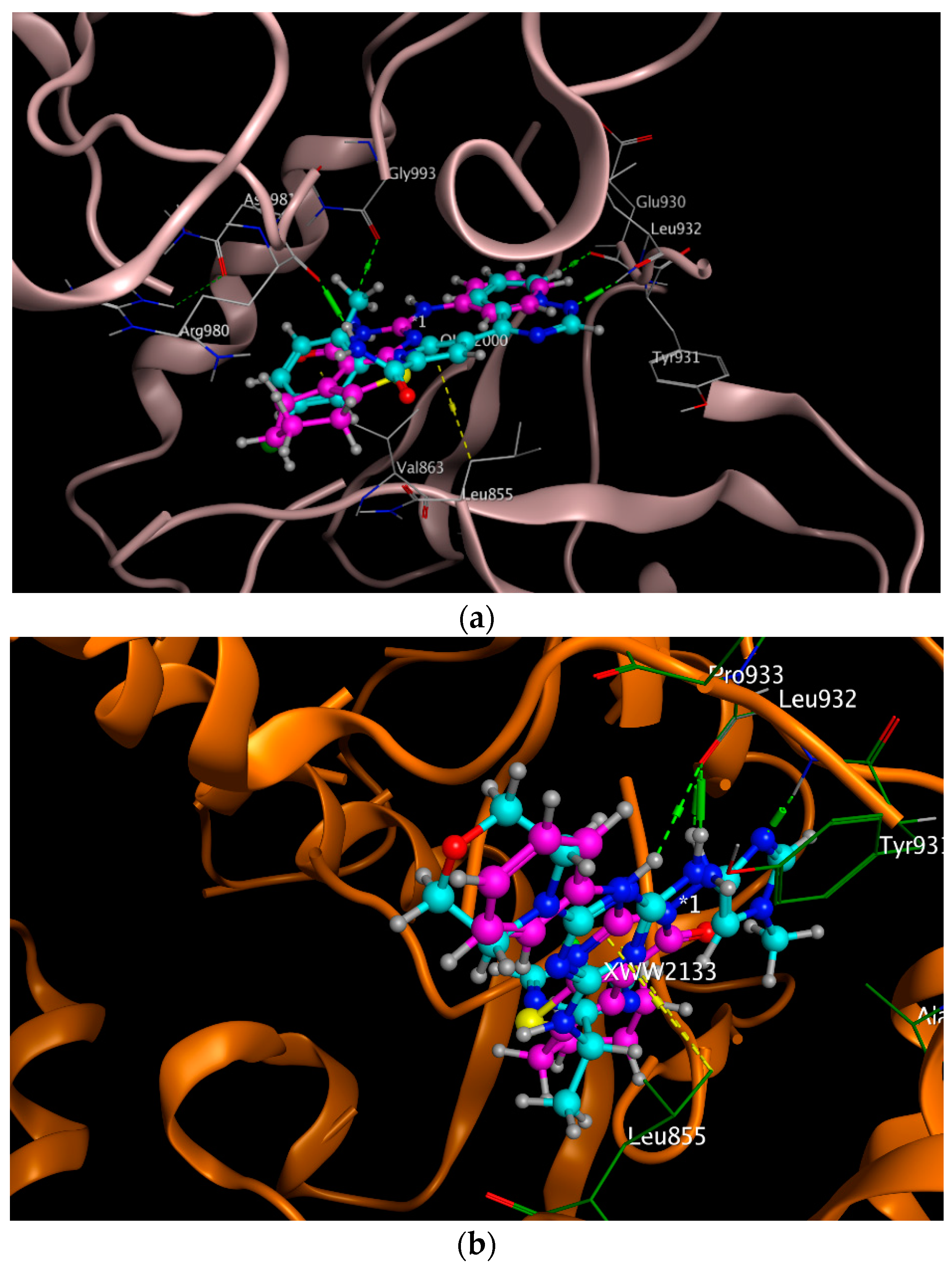 Molbank 2022 m1352 g004 550