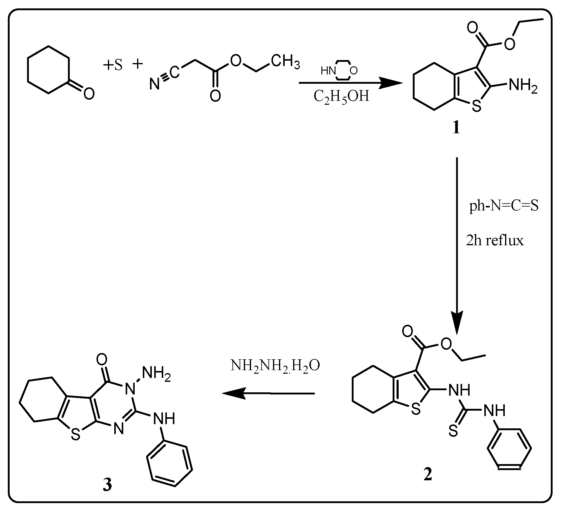 Molbank 2022 m1352 sch001 550