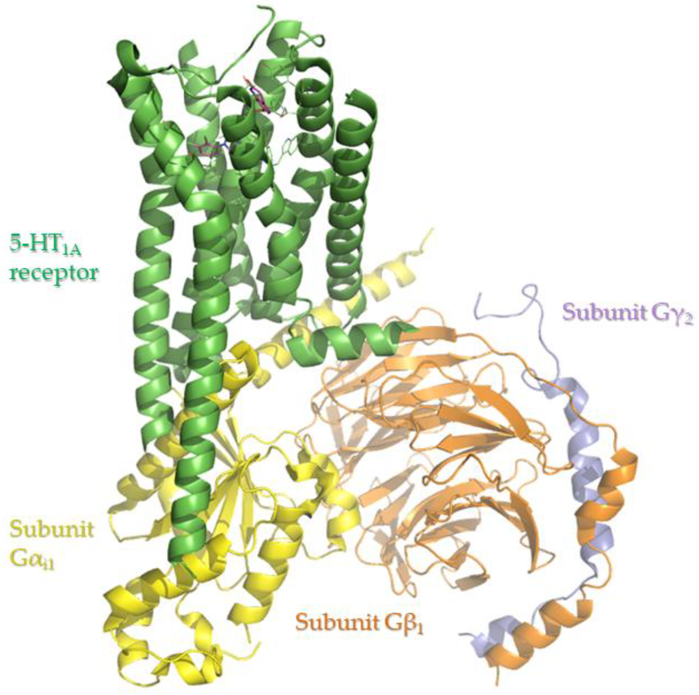 Molbank 2022 m1353 g002 550