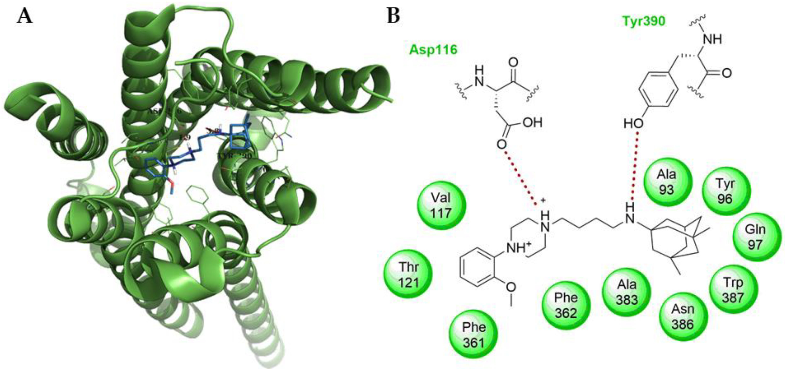 Molbank 2022 m1353 g004 550