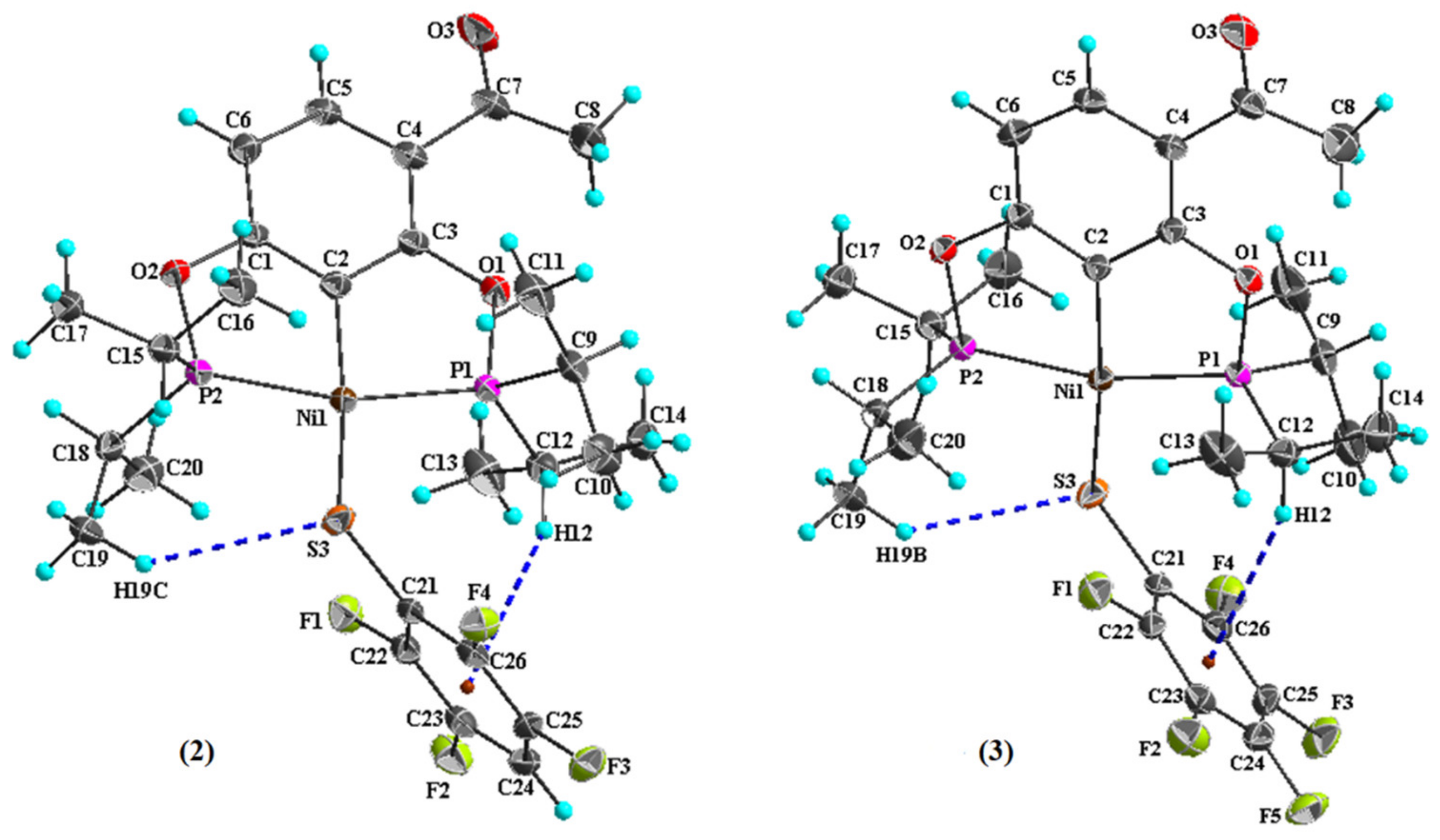 Molbank 2022 m1359 g001