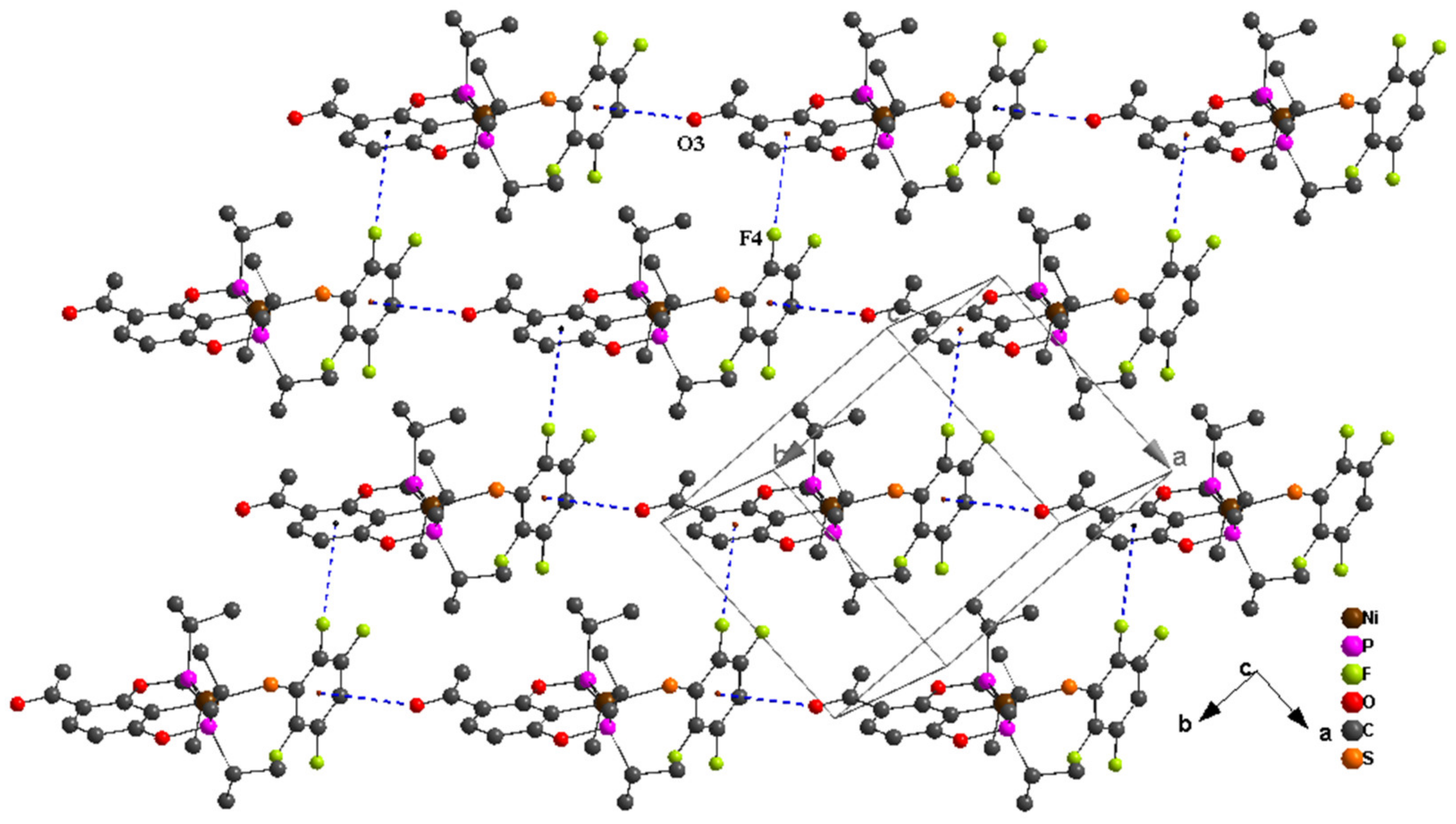 Molbank 2022 m1359 g004