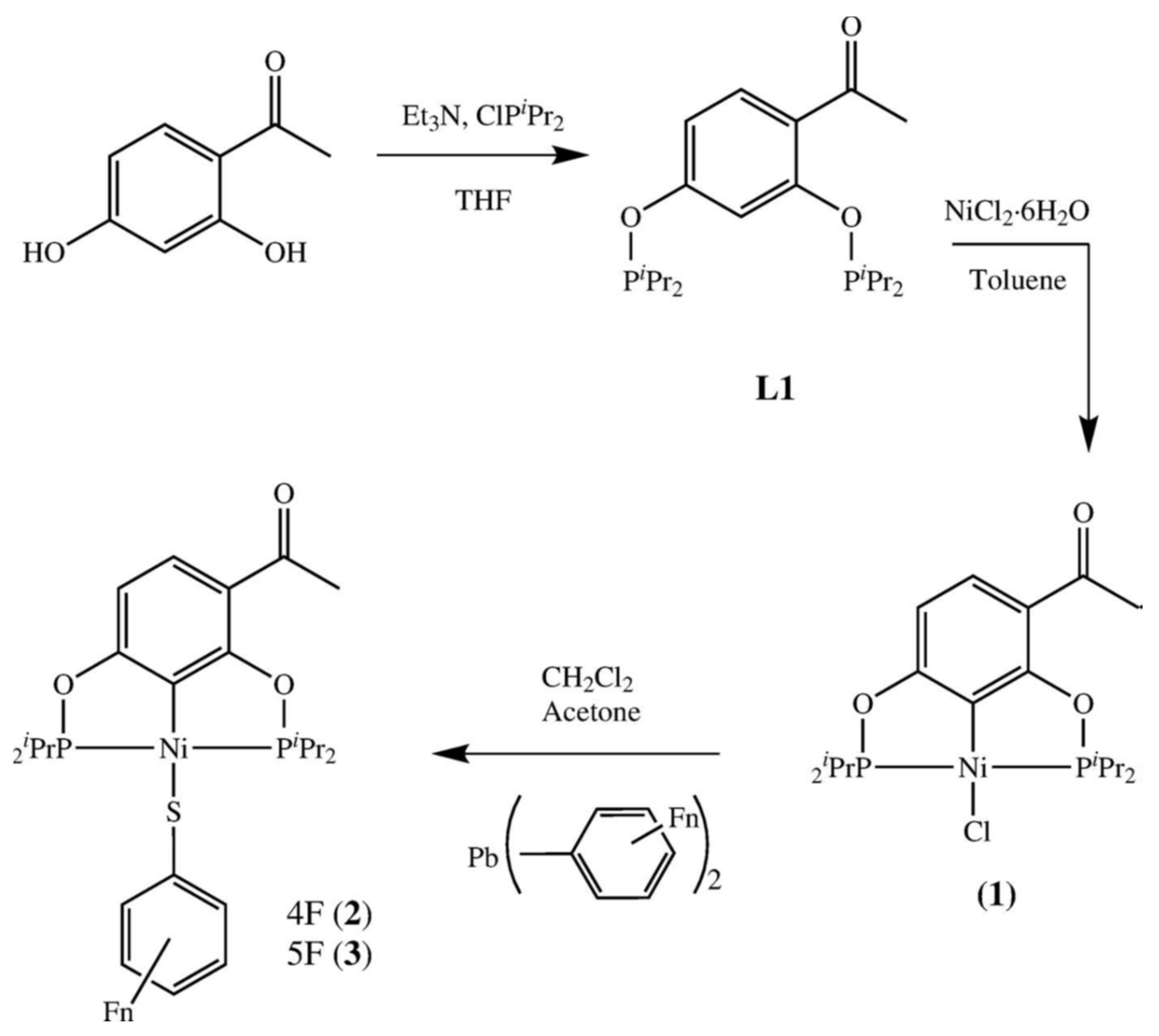Molbank 2022 m1359 sch001