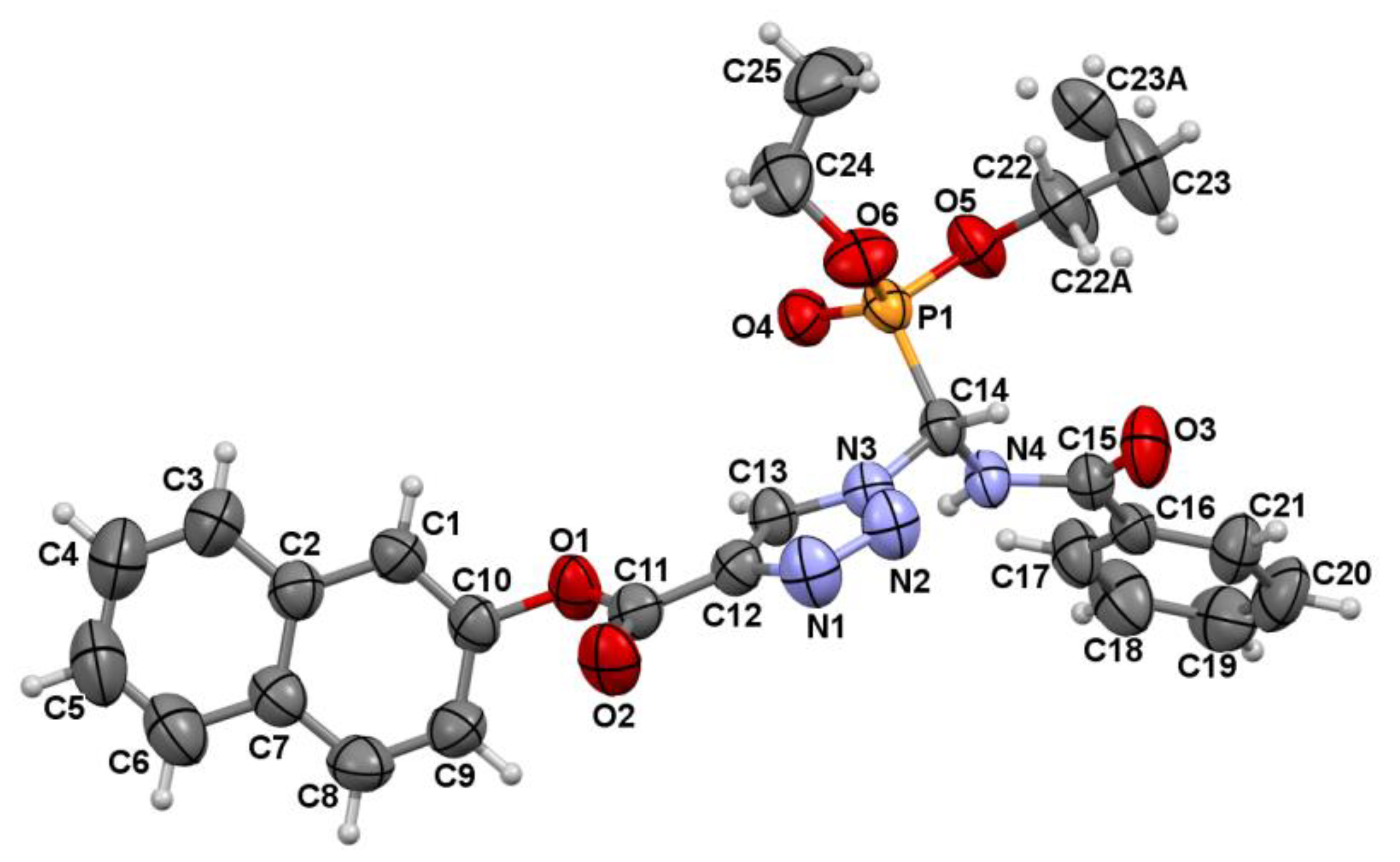 Molbank 2022 m1360 g003