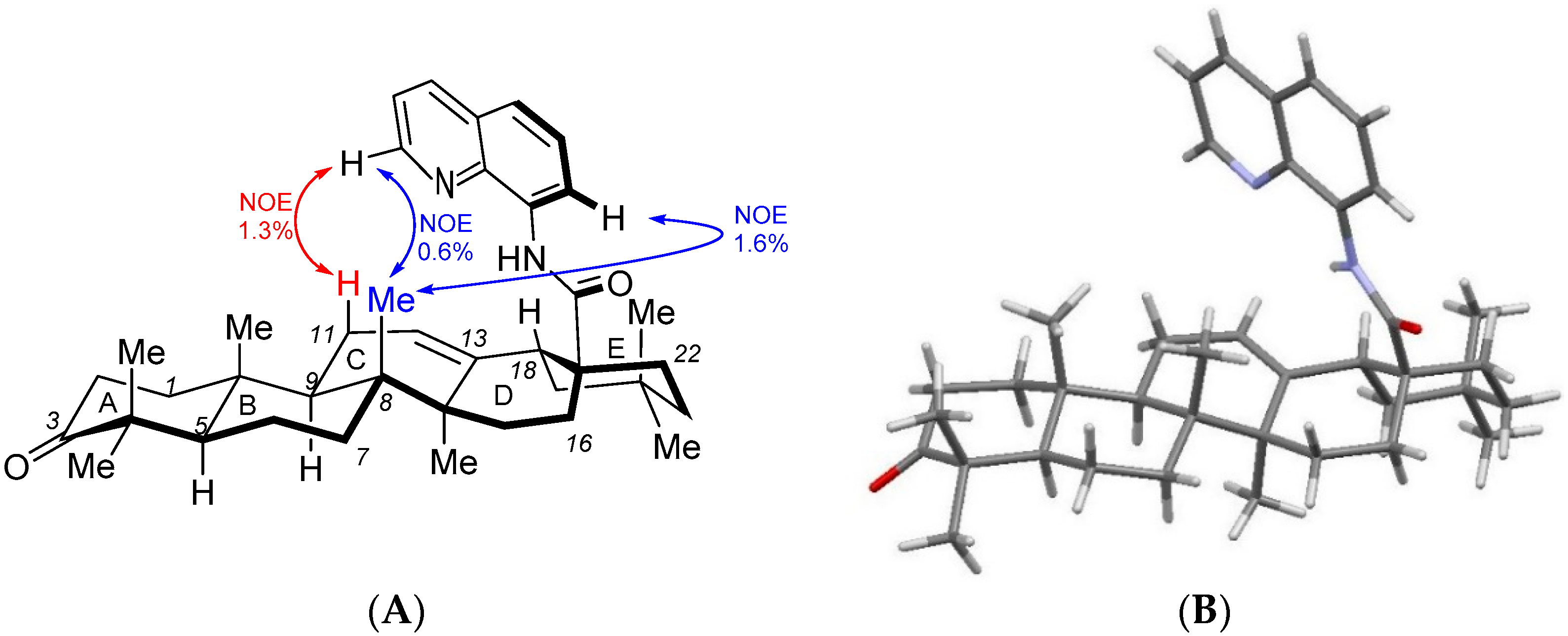 Molbank 2022 m1361 g001