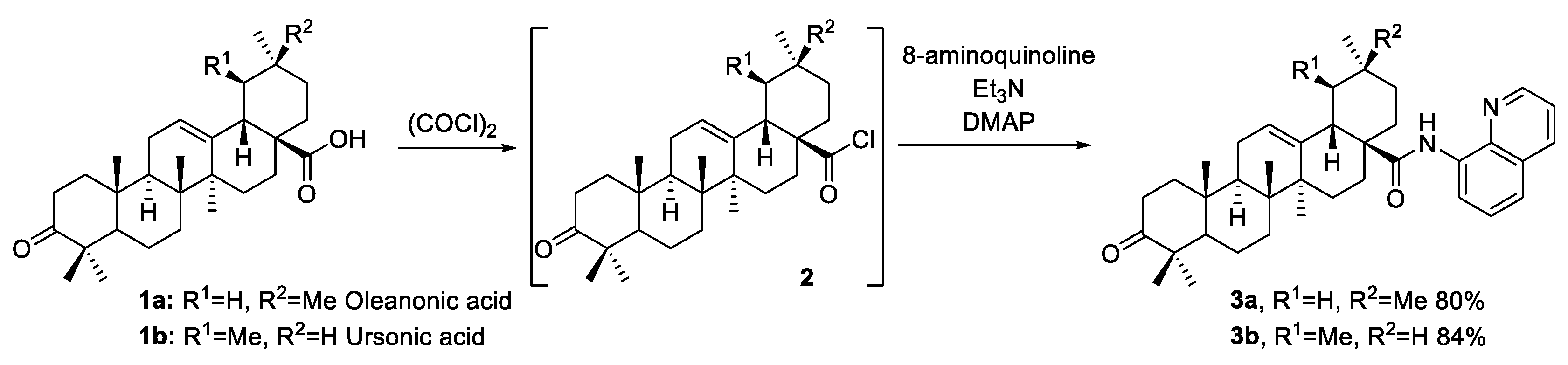 Molbank 2022 m1361 sch001