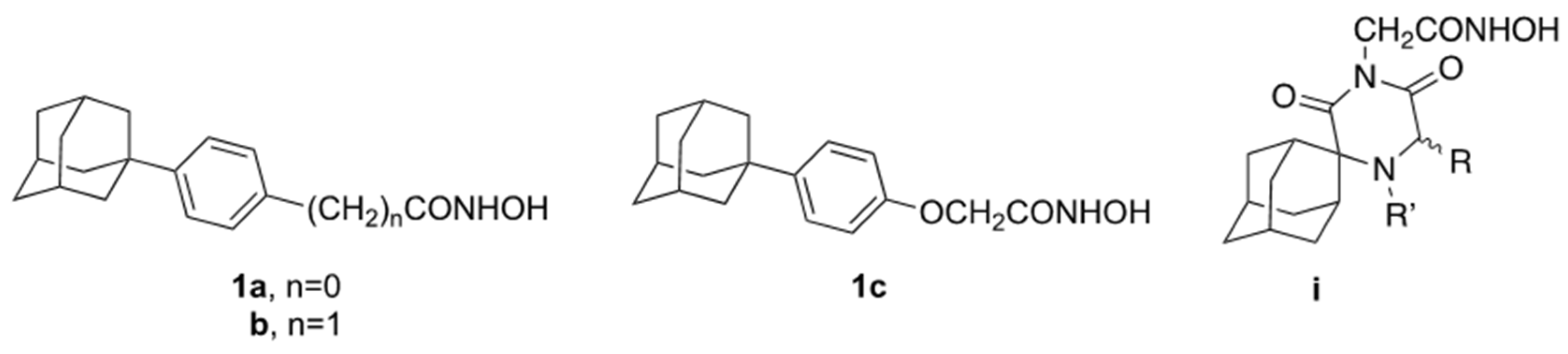 Molbank 2022 m1363 g001 Molbank 2022 m1363 g001