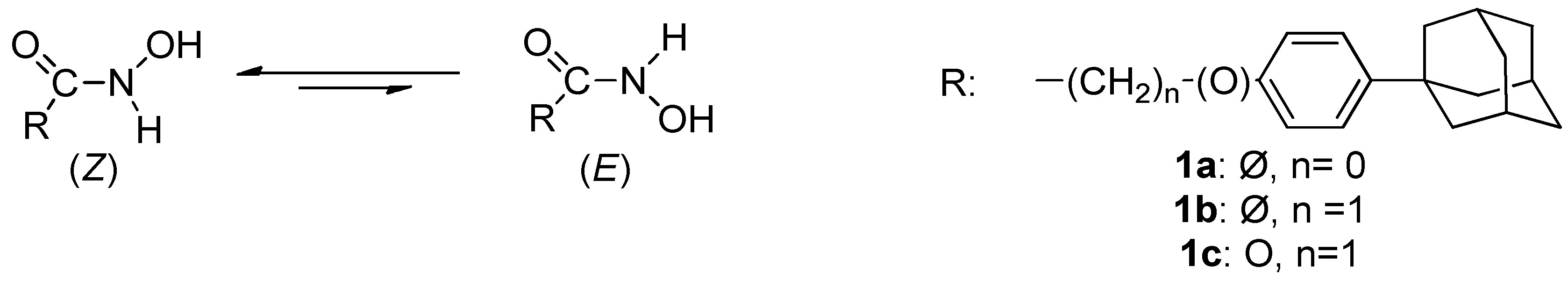 Molbank 2022 m1363 g002 Molbank 2022 m1363 g002