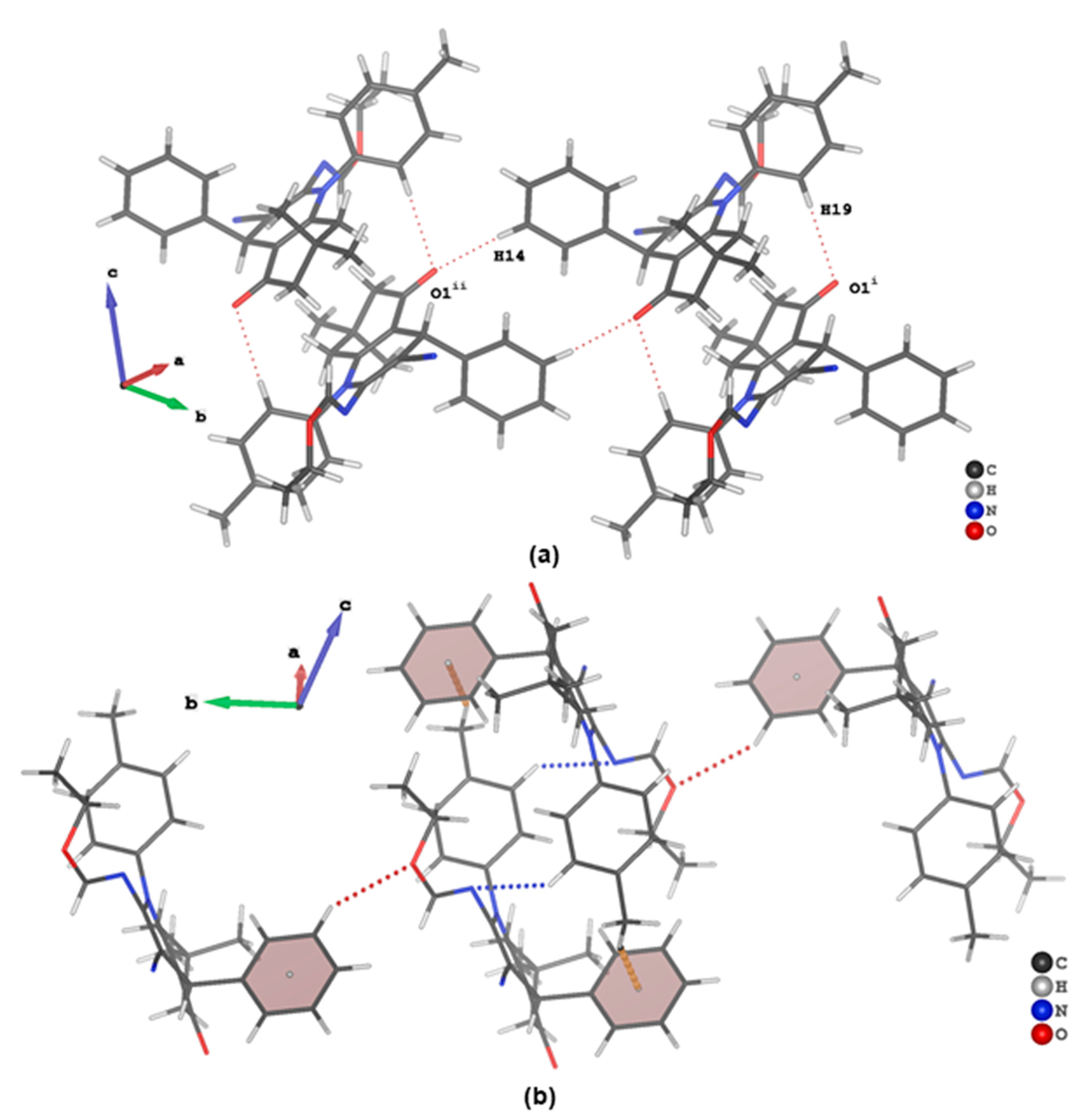 Molbank 2022 m1364 g006 550