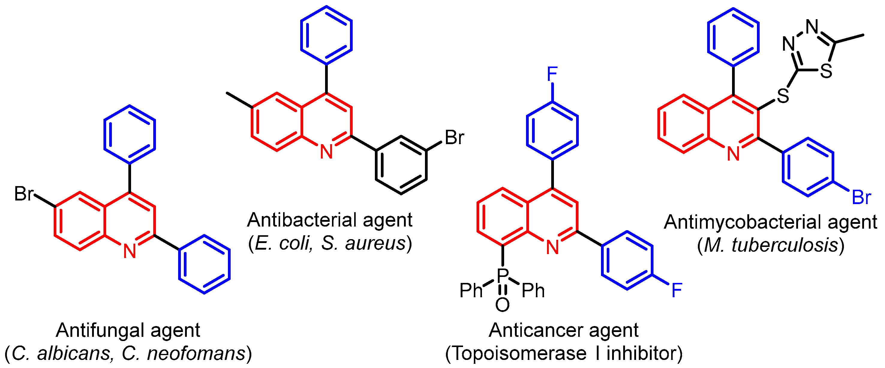 Molbank 2022 m1383 g001
