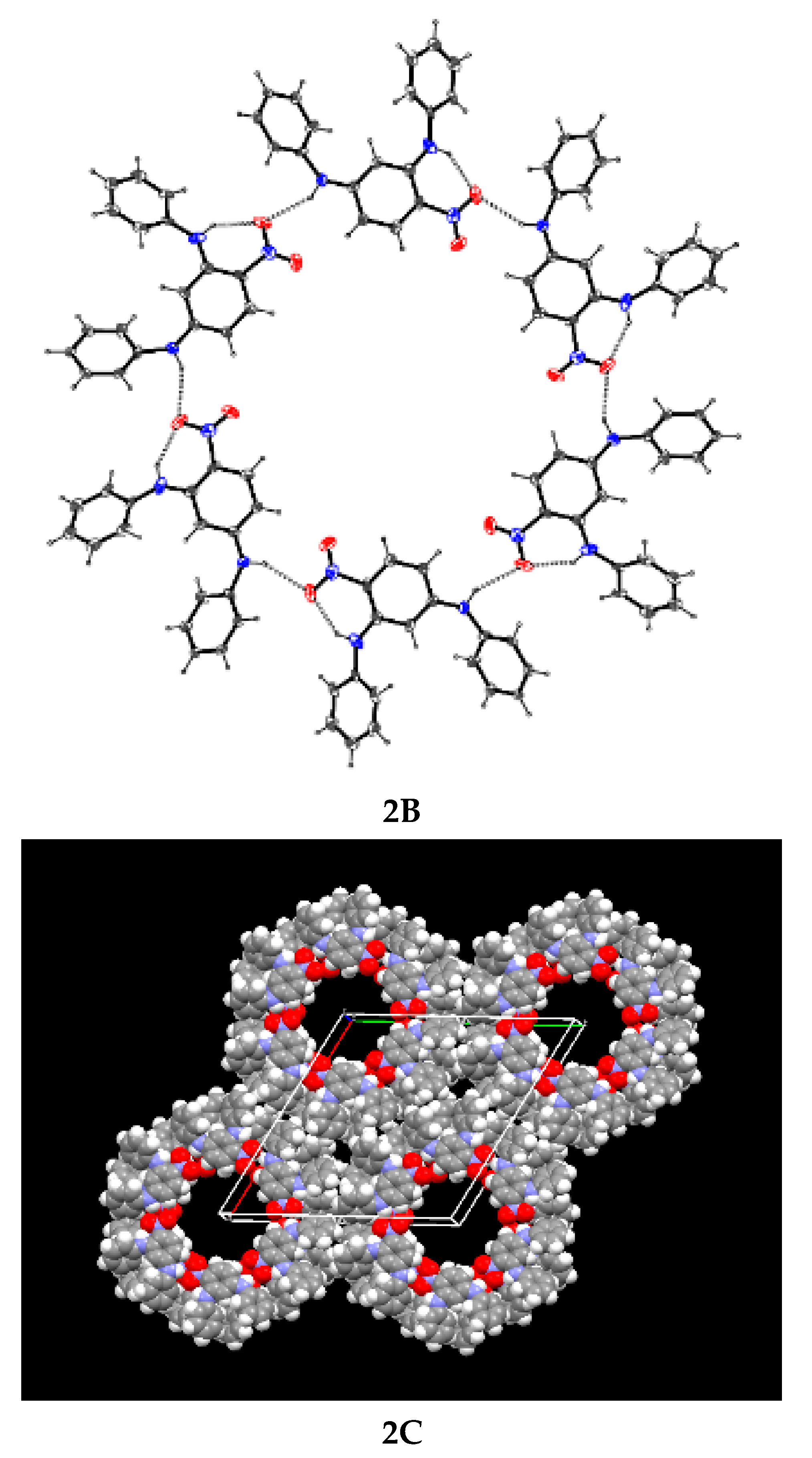 Molbank 2022 m1390 g002b 550