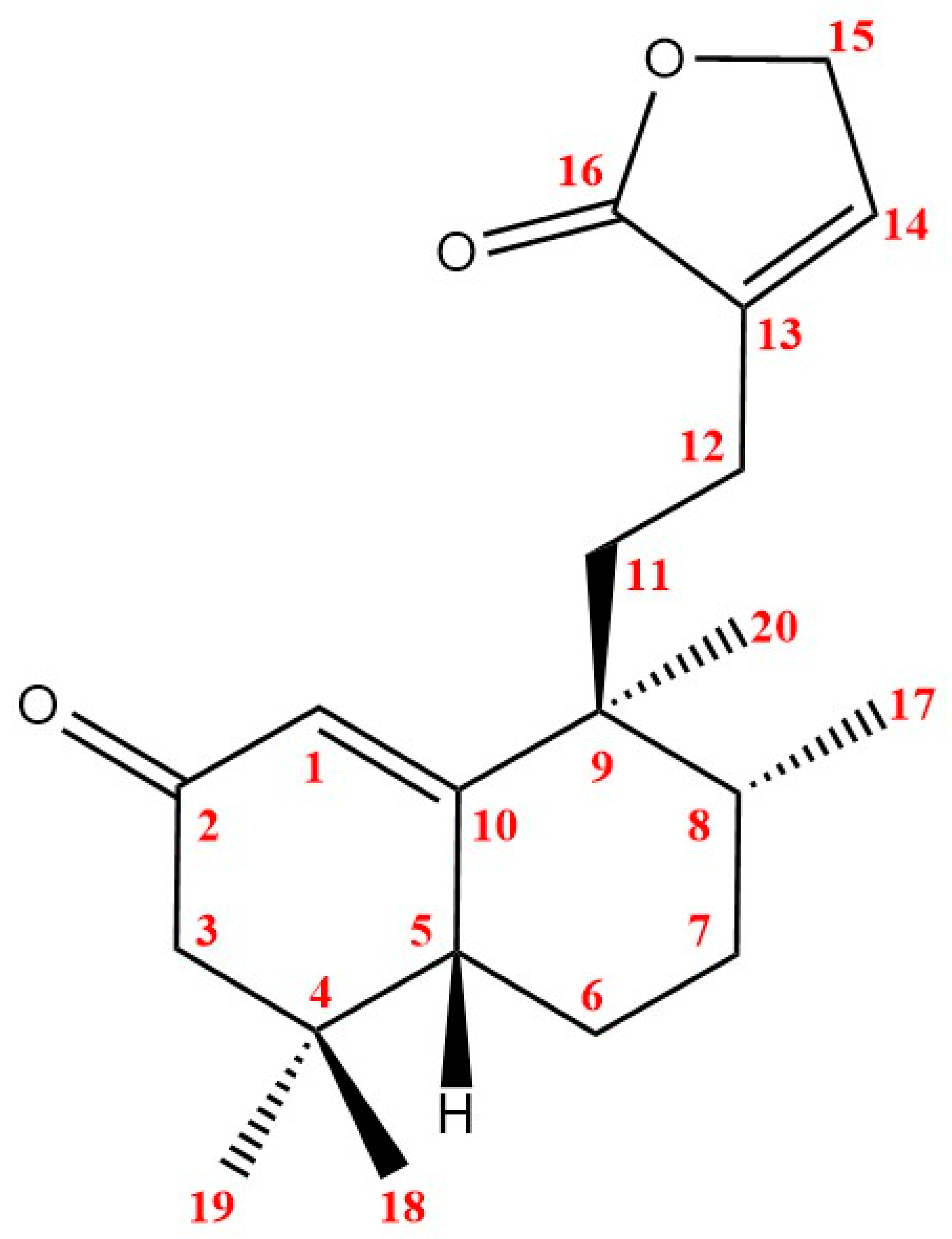 Molbank 2022 m1391 g001