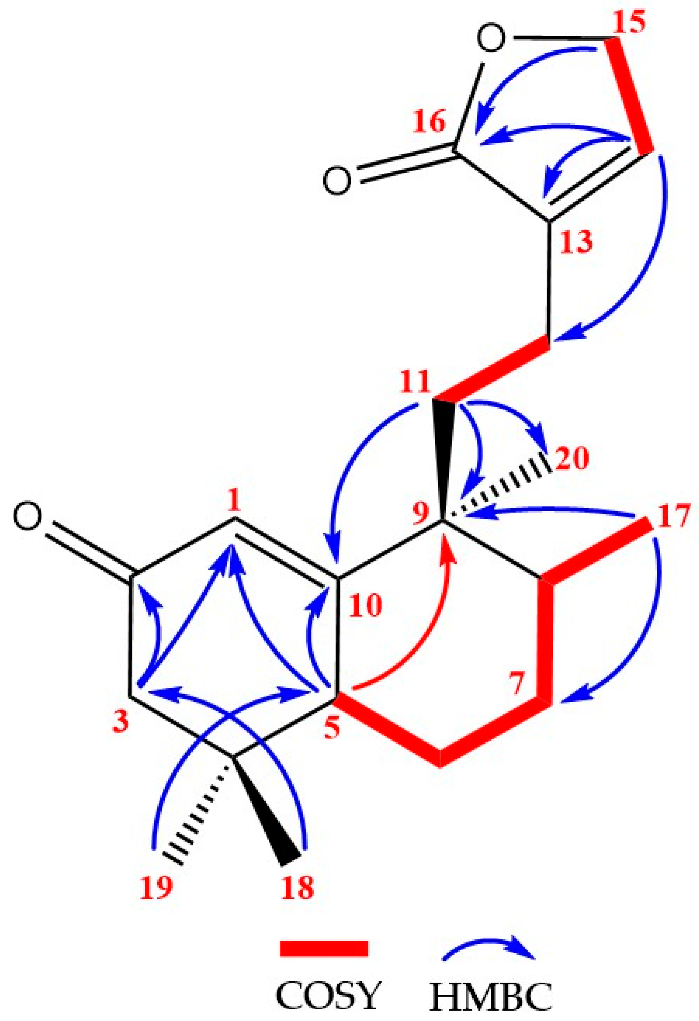 Molbank 2022 m1391 g002