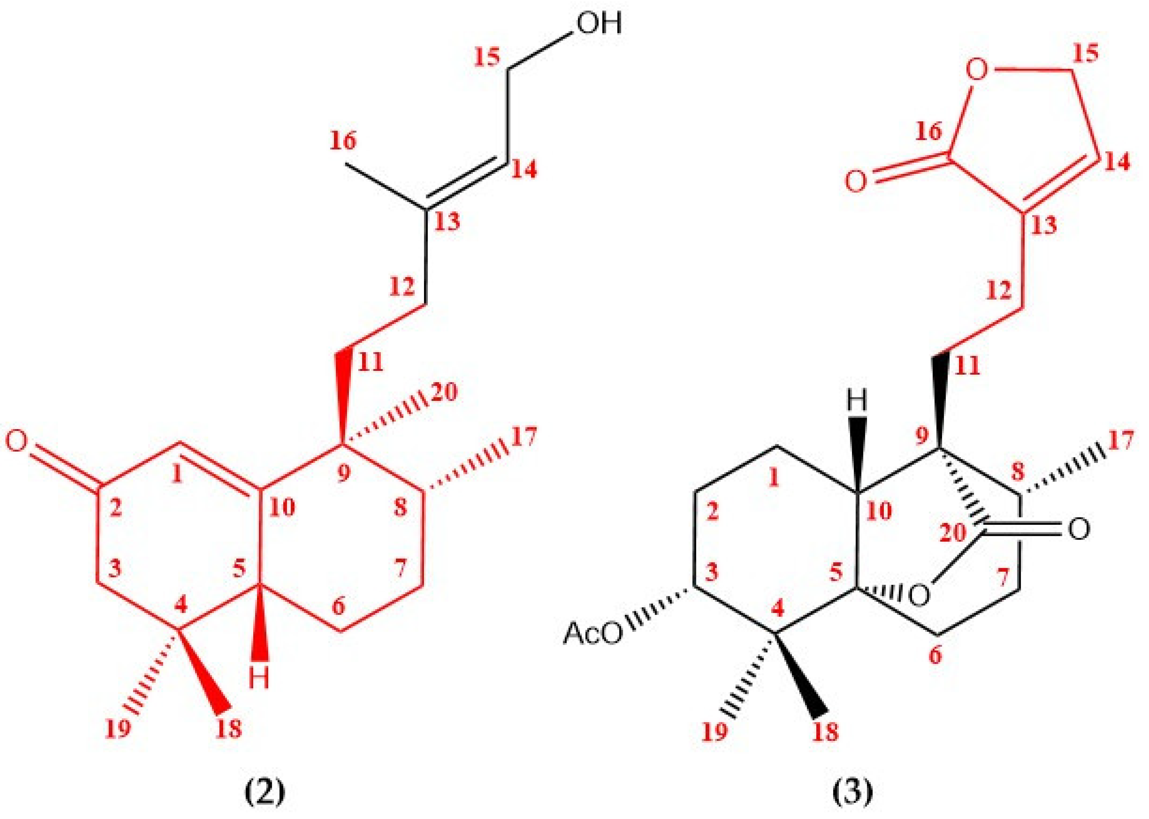 Molbank 2022 m1391 g003