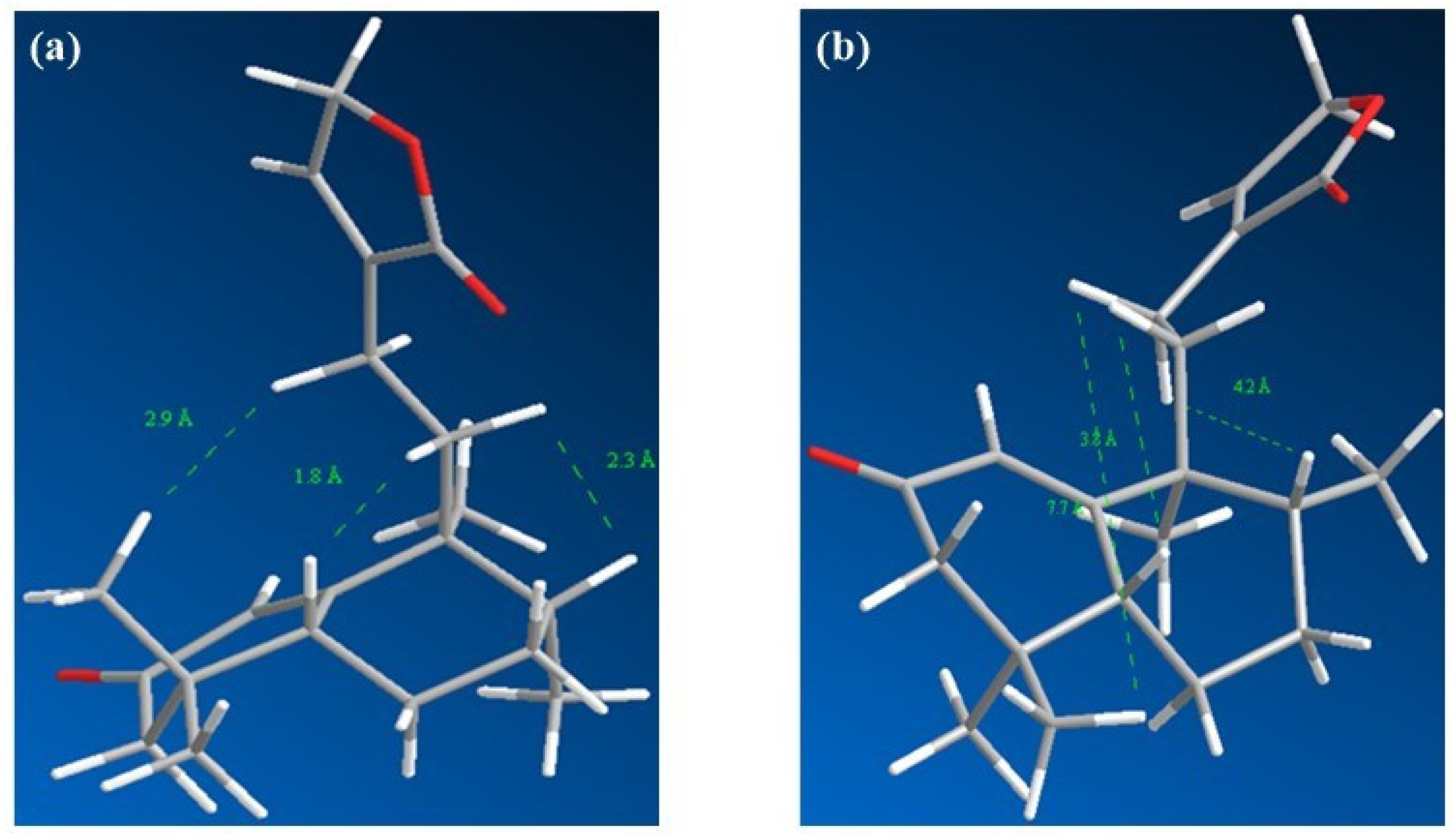 Molbank 2022 m1391 g004