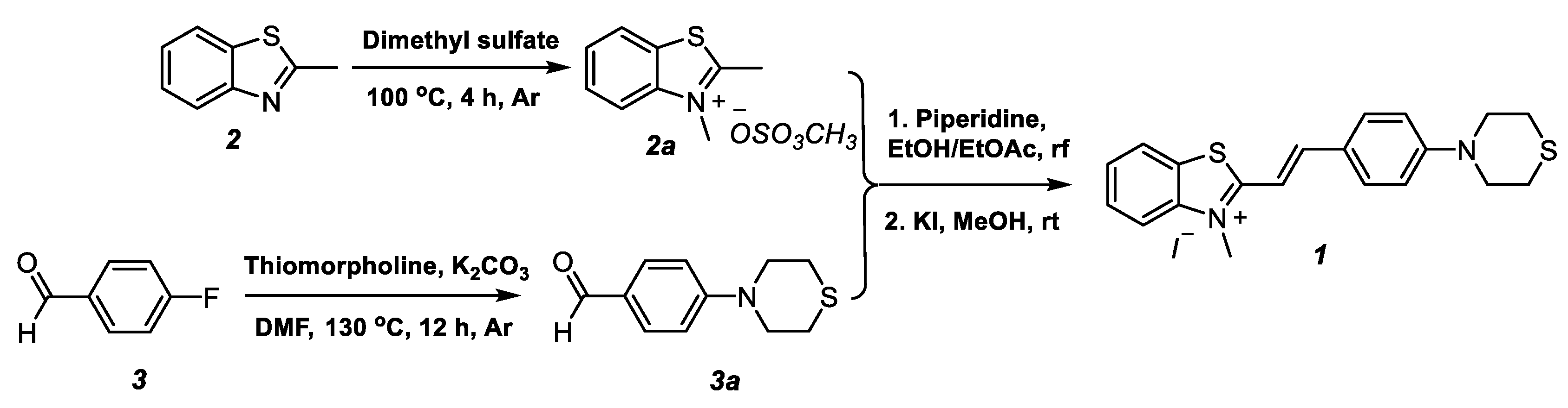 Molbank 2022 m1392 sch001