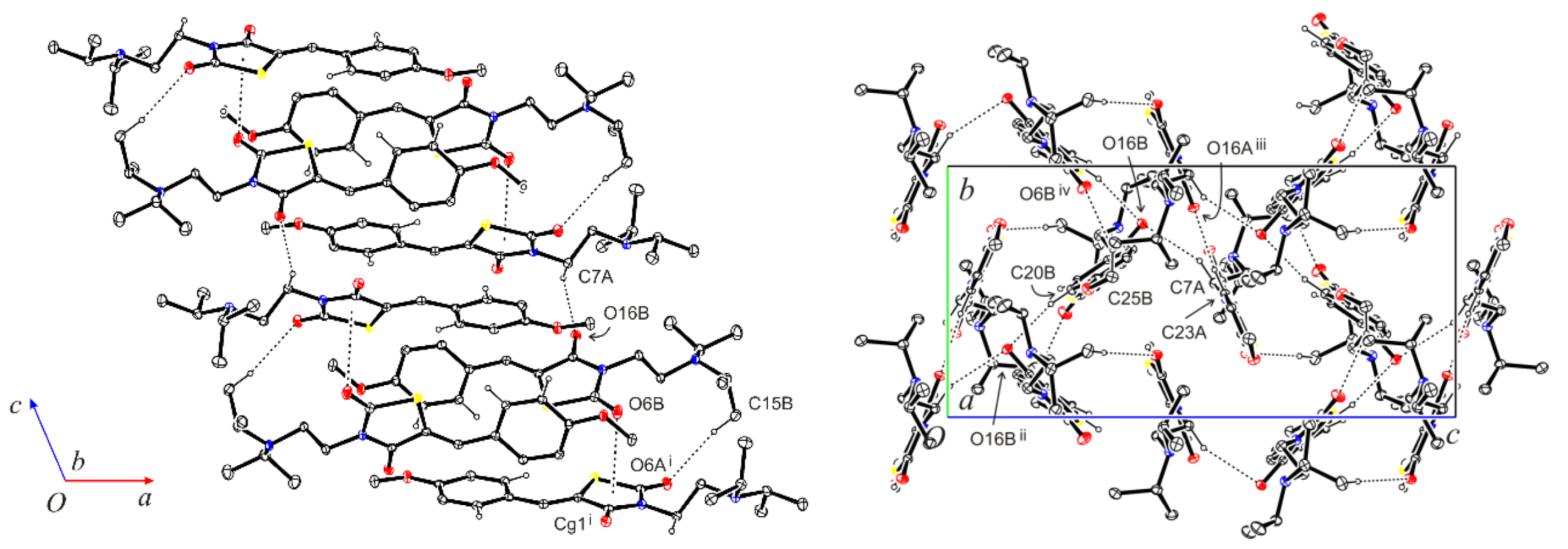 Molbank 2022 m1394 g004