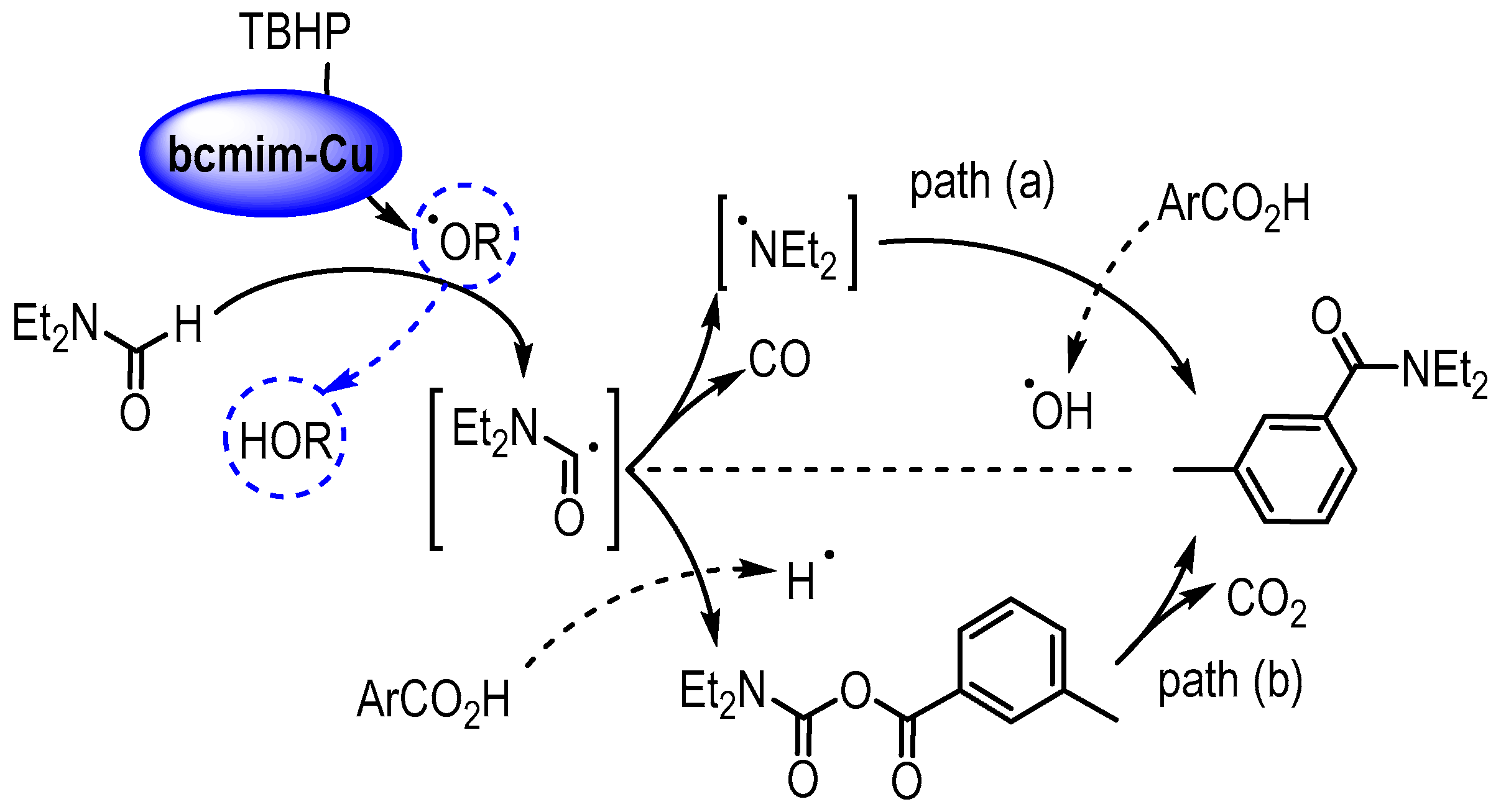 Molbank 2022 m1395 sch002 550