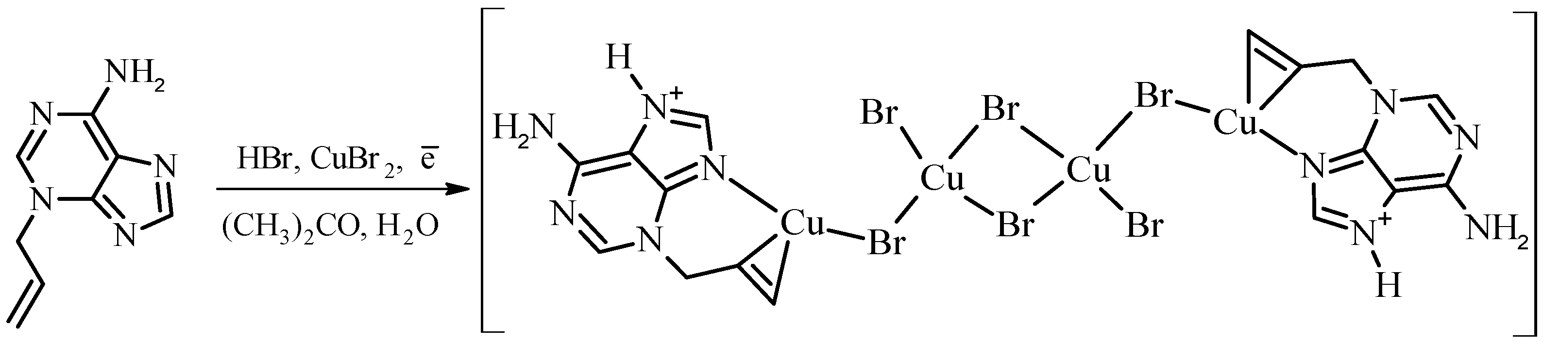 Molbank 2022 m1401 sch001