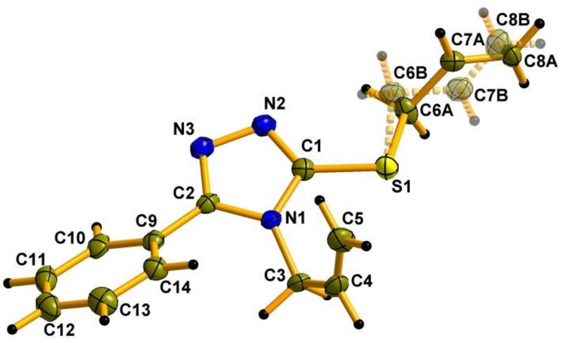 Molbank 2022 m1405 g002 550