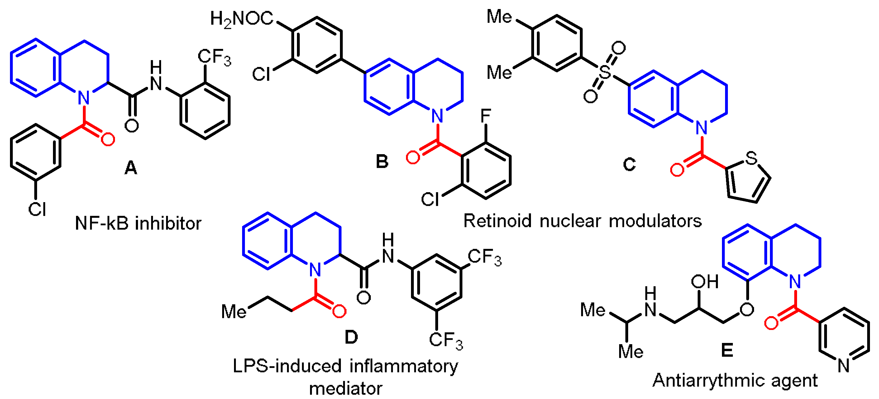 Molbank 2022 m1413 g001