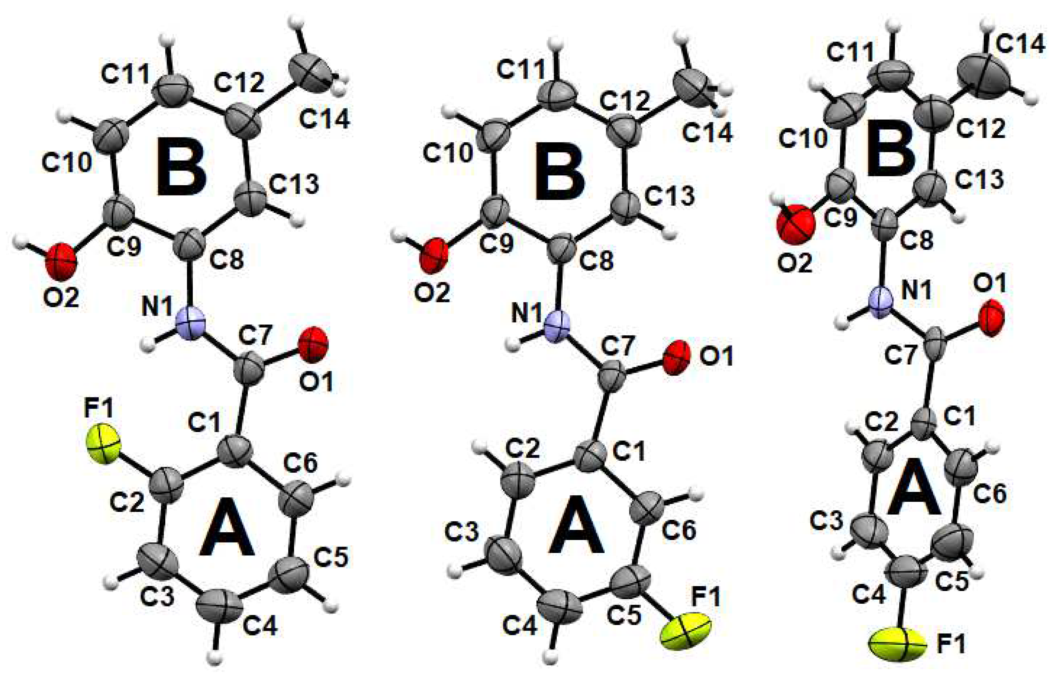Molbank 2022 m1416 g001