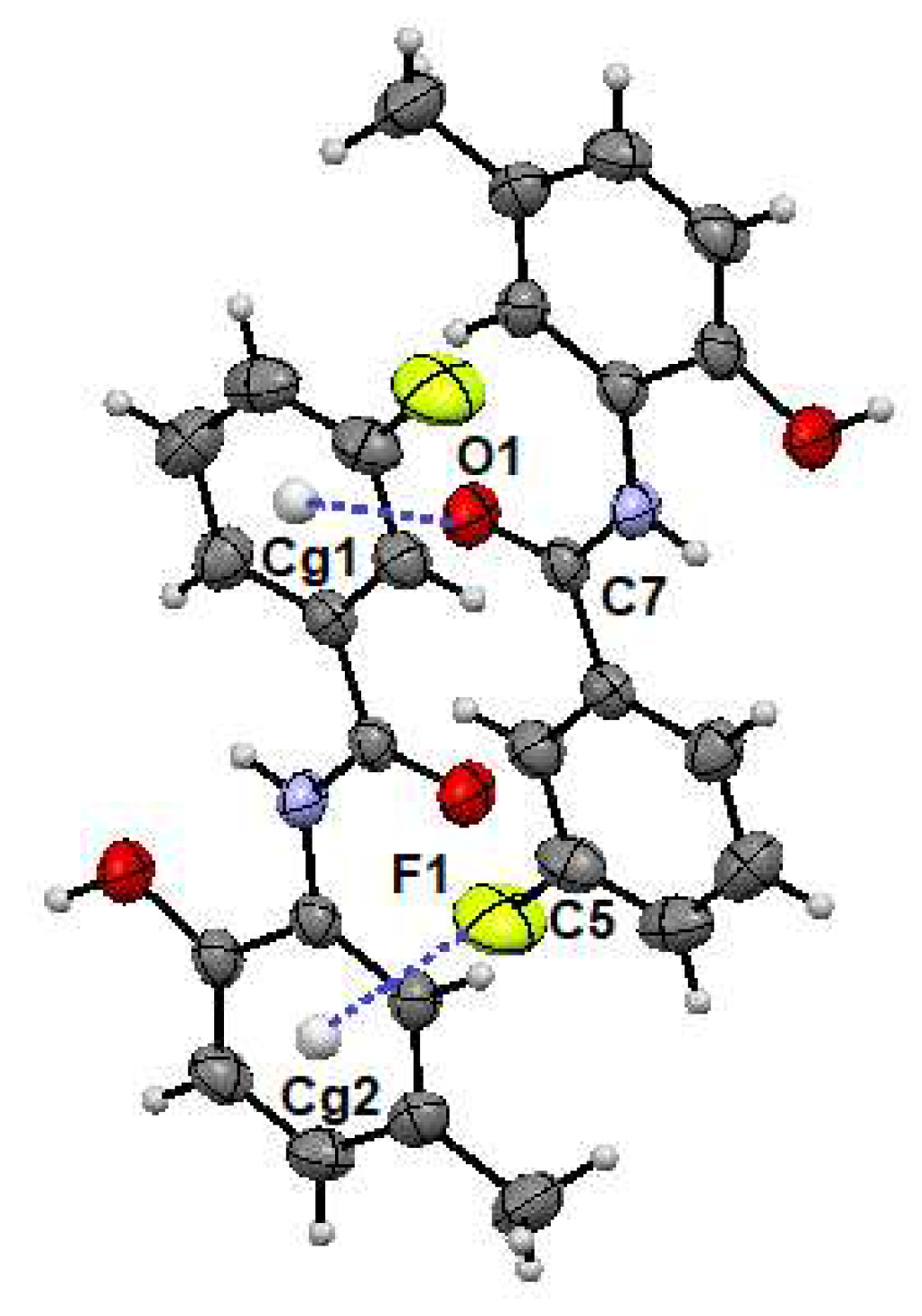 Molbank 2022 m1416 g004