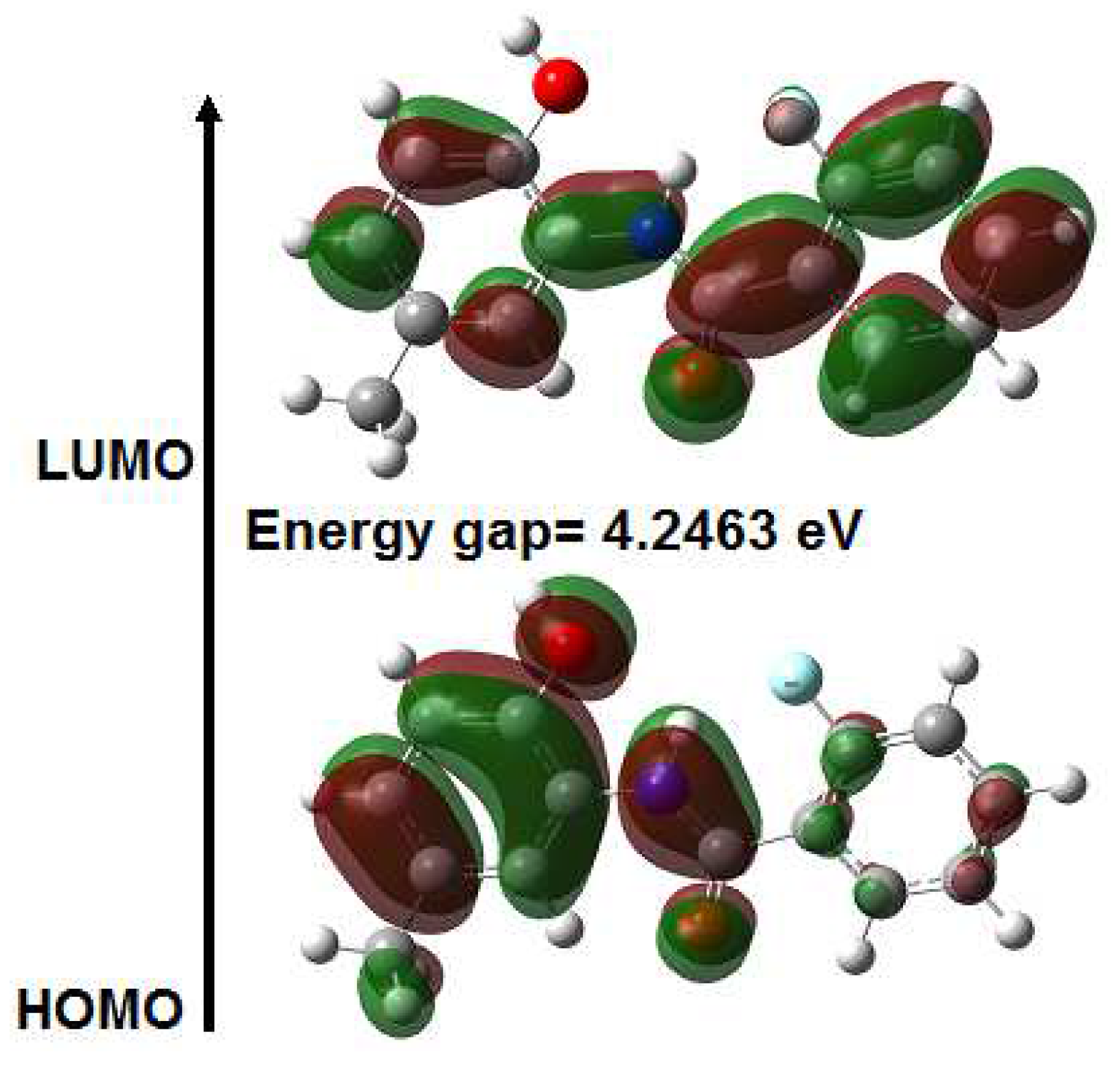 Molbank 2022 m1416 g007