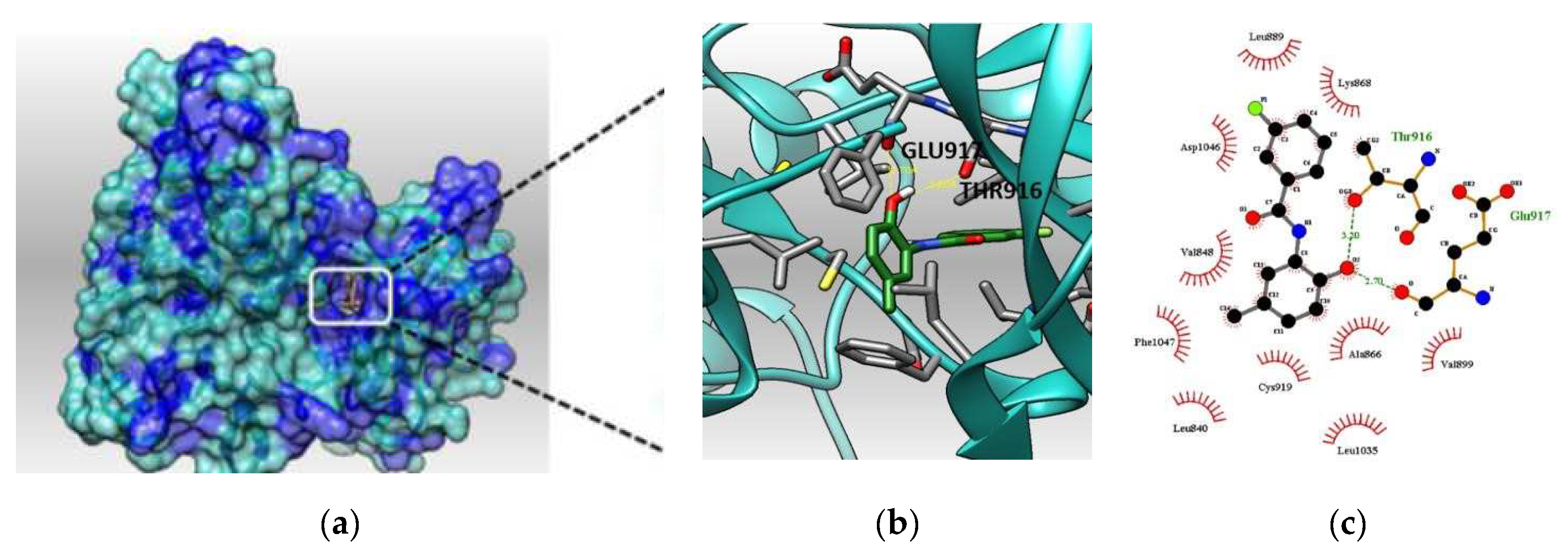 Molbank 2022 m1416 g009