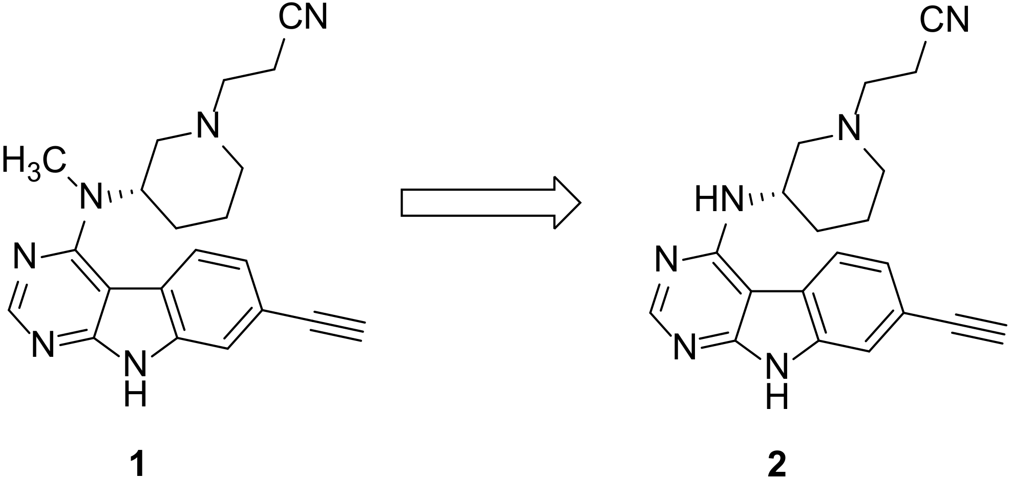 Molbank 2022 m1437 g001
