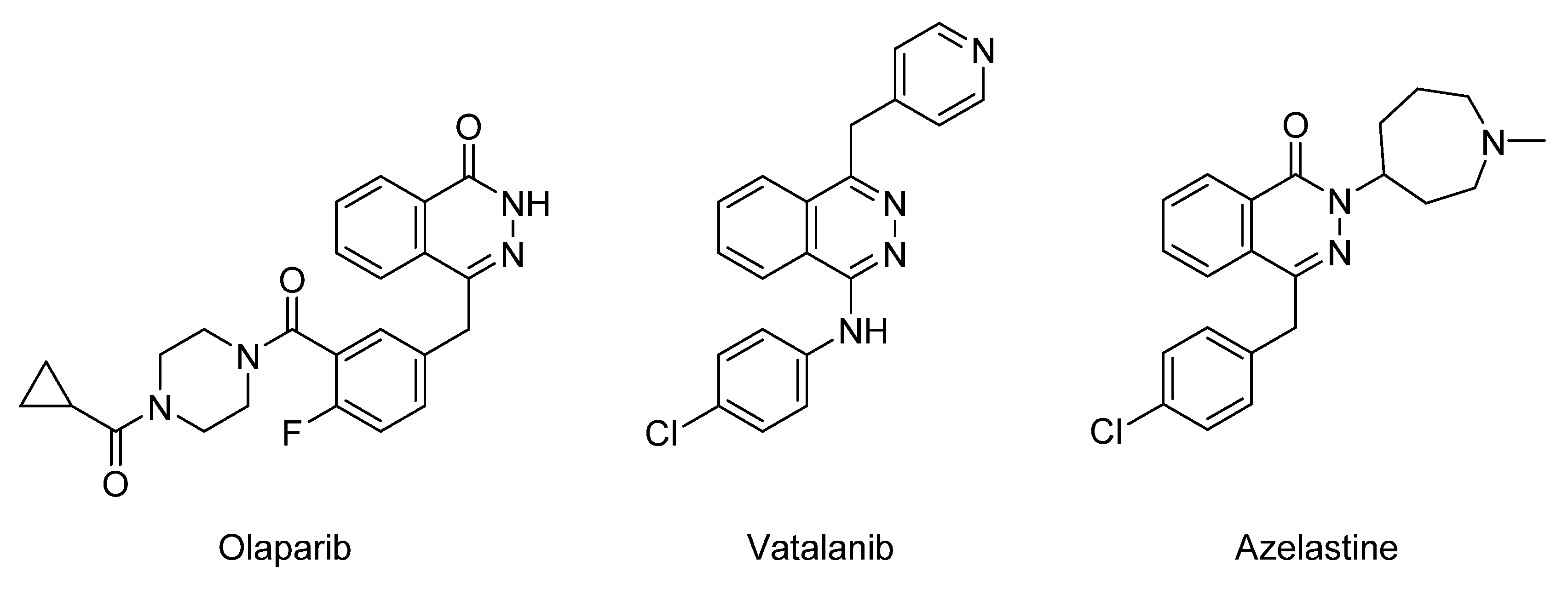 Molbank 2022 m1439 g002 550