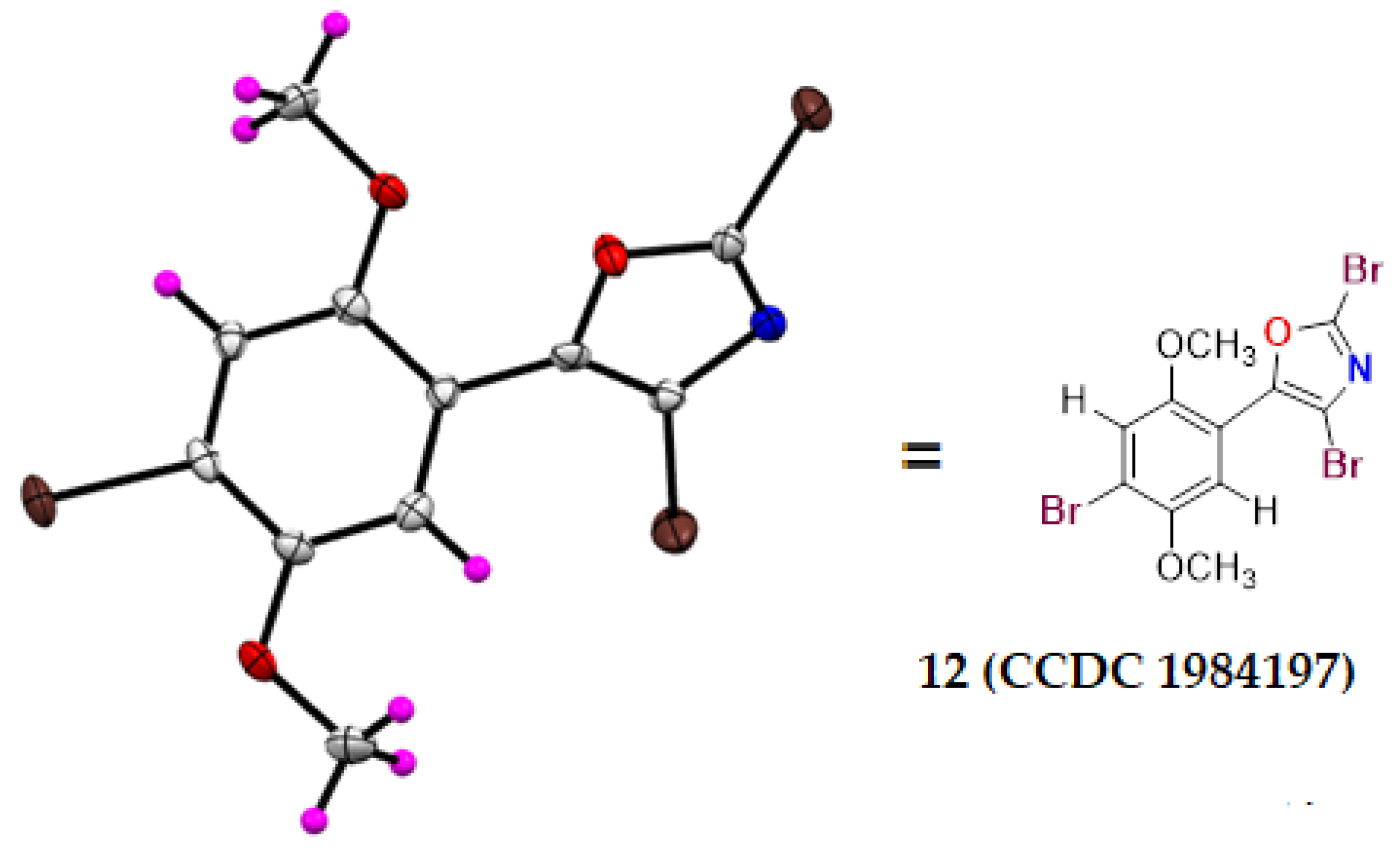 Molbank 2022 m1440 g002