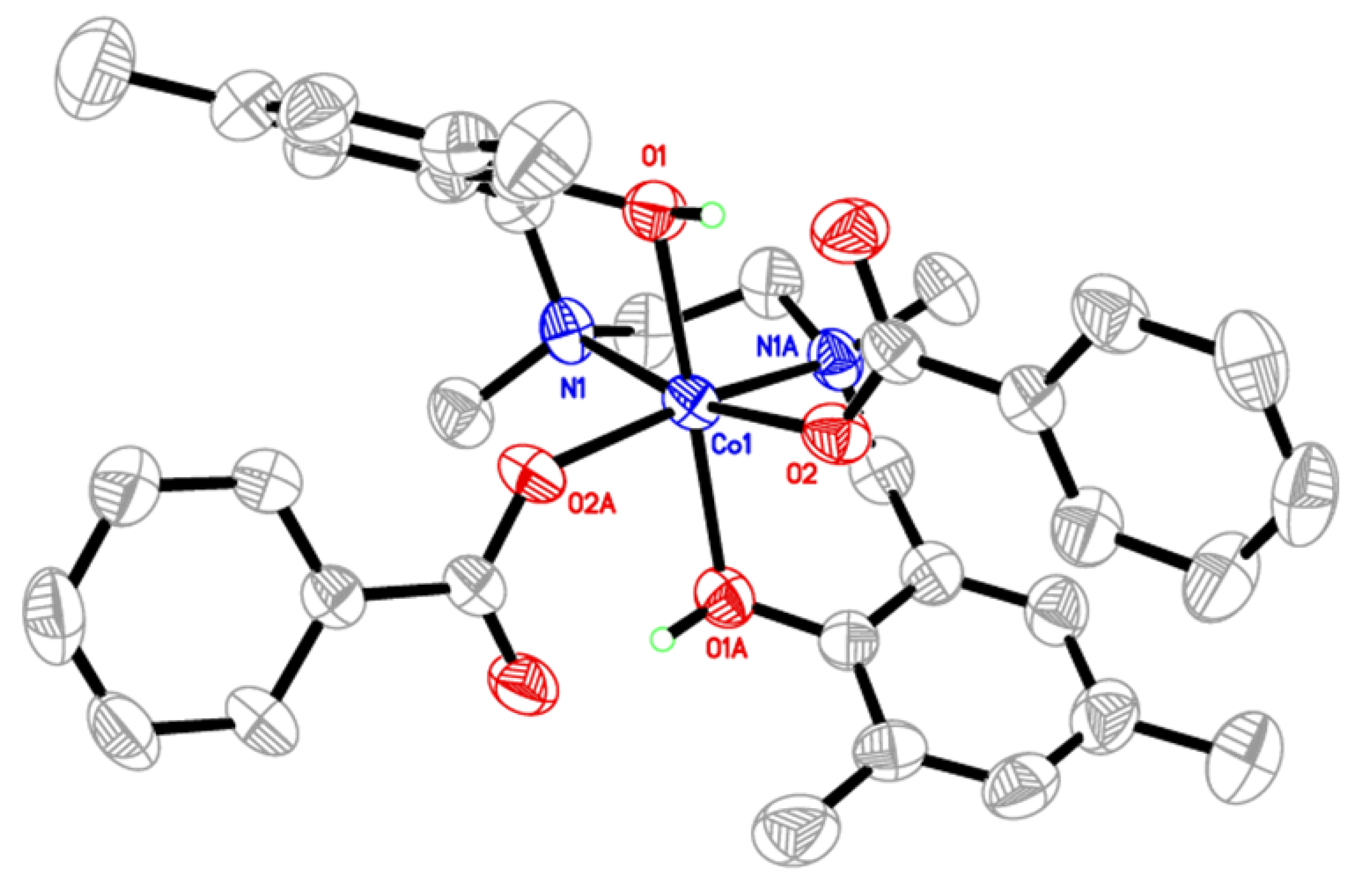 Molbank 2022 m1447 g001