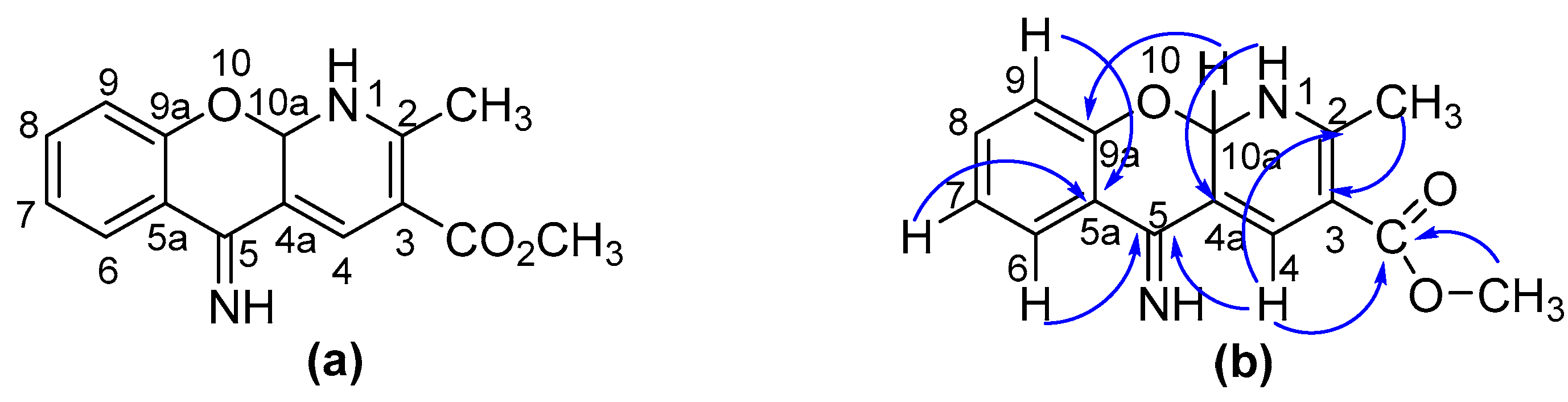 Molbank 2022 m1453 g001