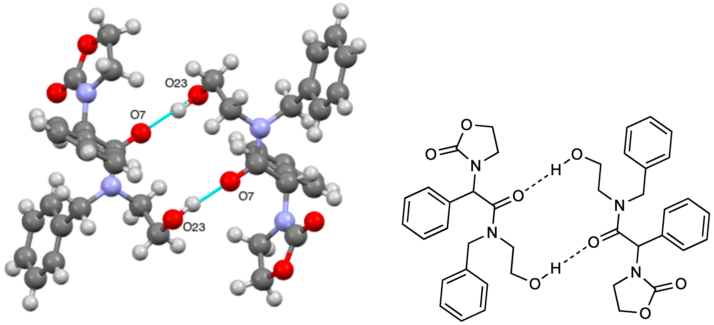 Molbank 2022 m1458 g002 Molbank 2022 m1458 g002