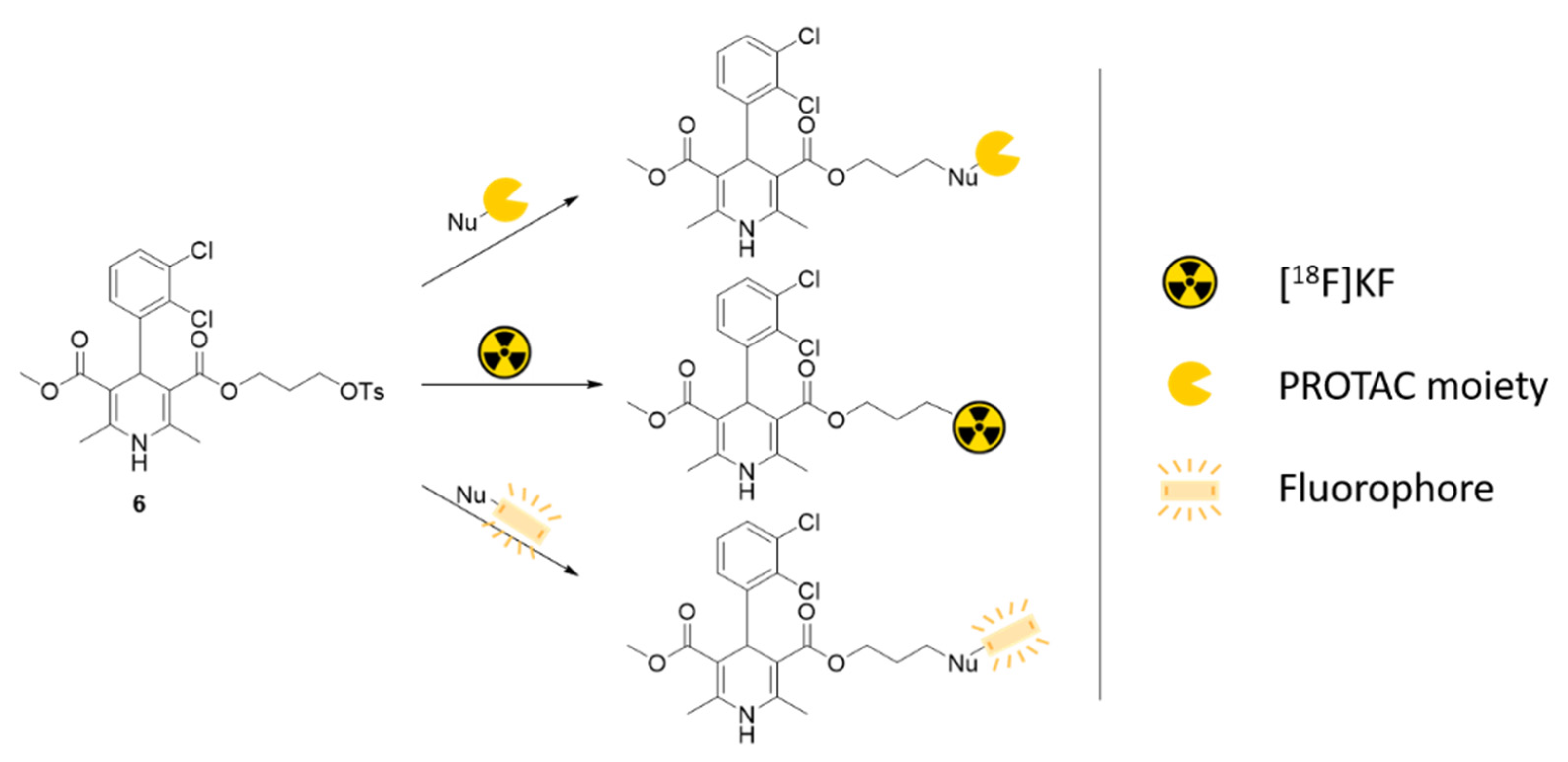 Molbank 2022 m1460 g001