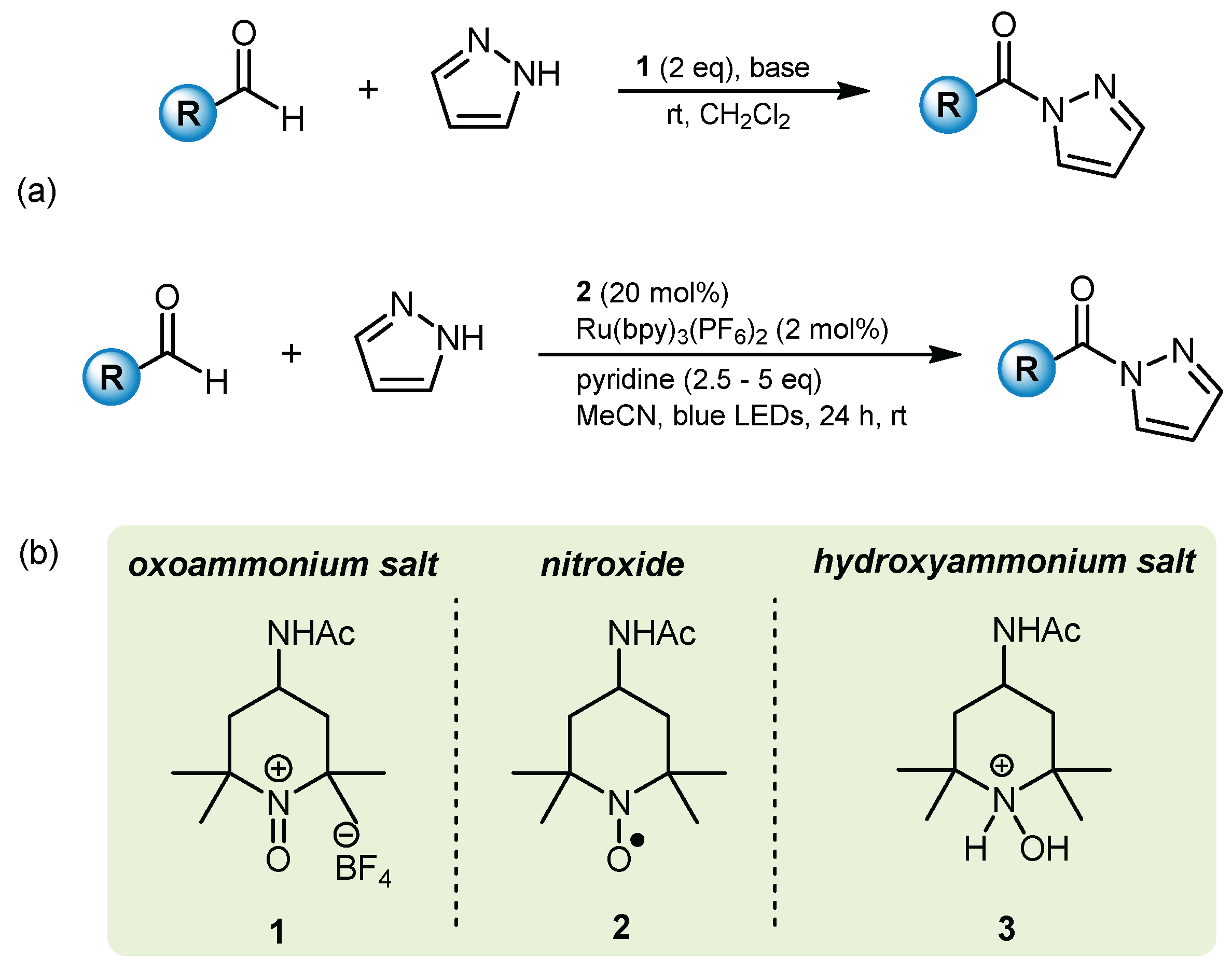 Molbank 2022 m1468 g001 Molbank 2022 m1468 g001